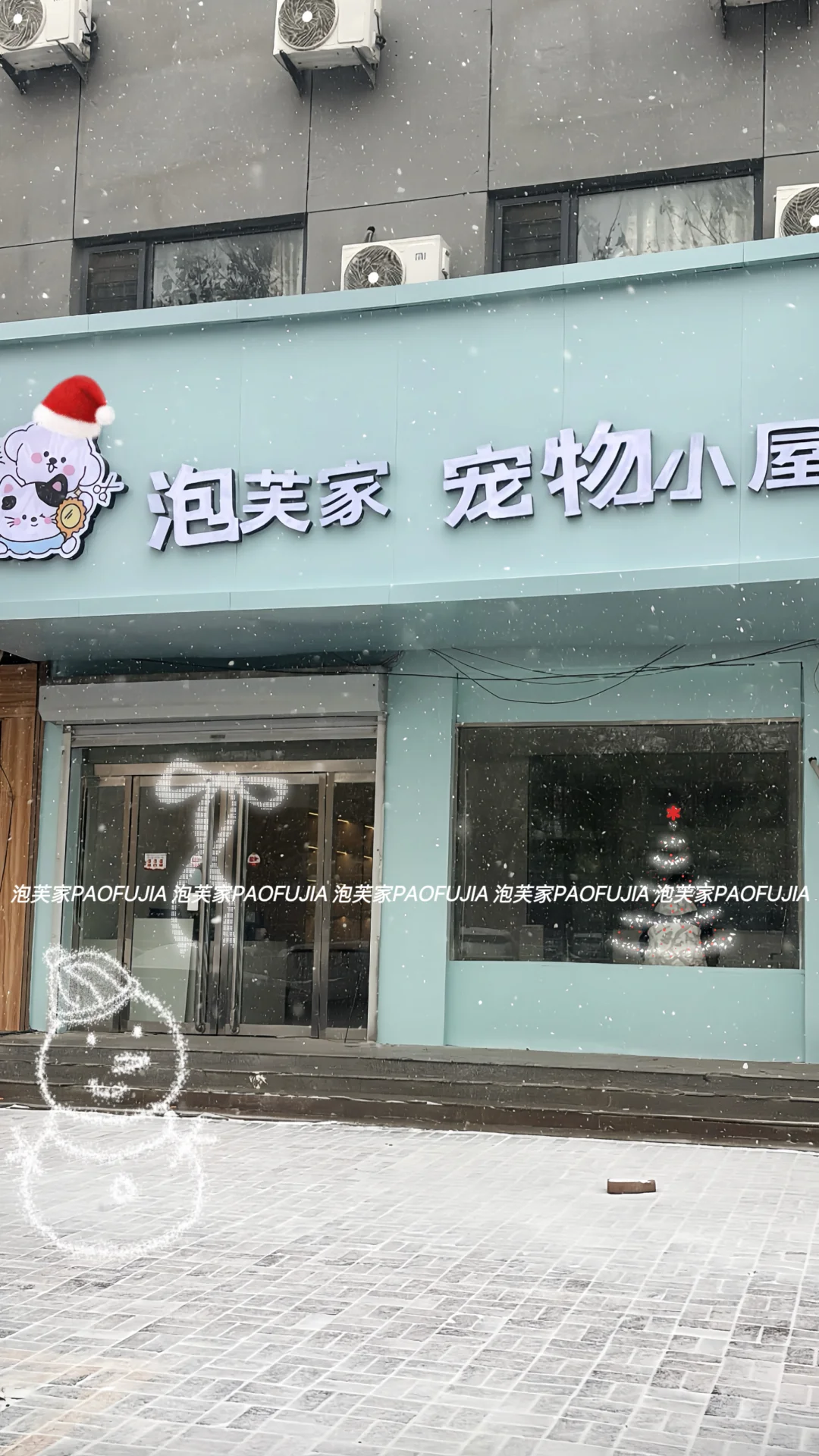 谁懂啊！在大名开了一家自己理想中的宠物店