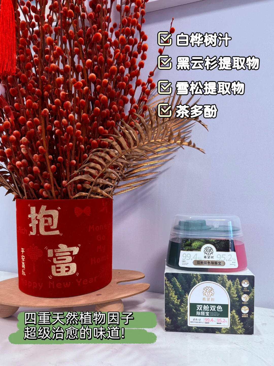 新房除醛组合拳！大小空间全拿捏✨