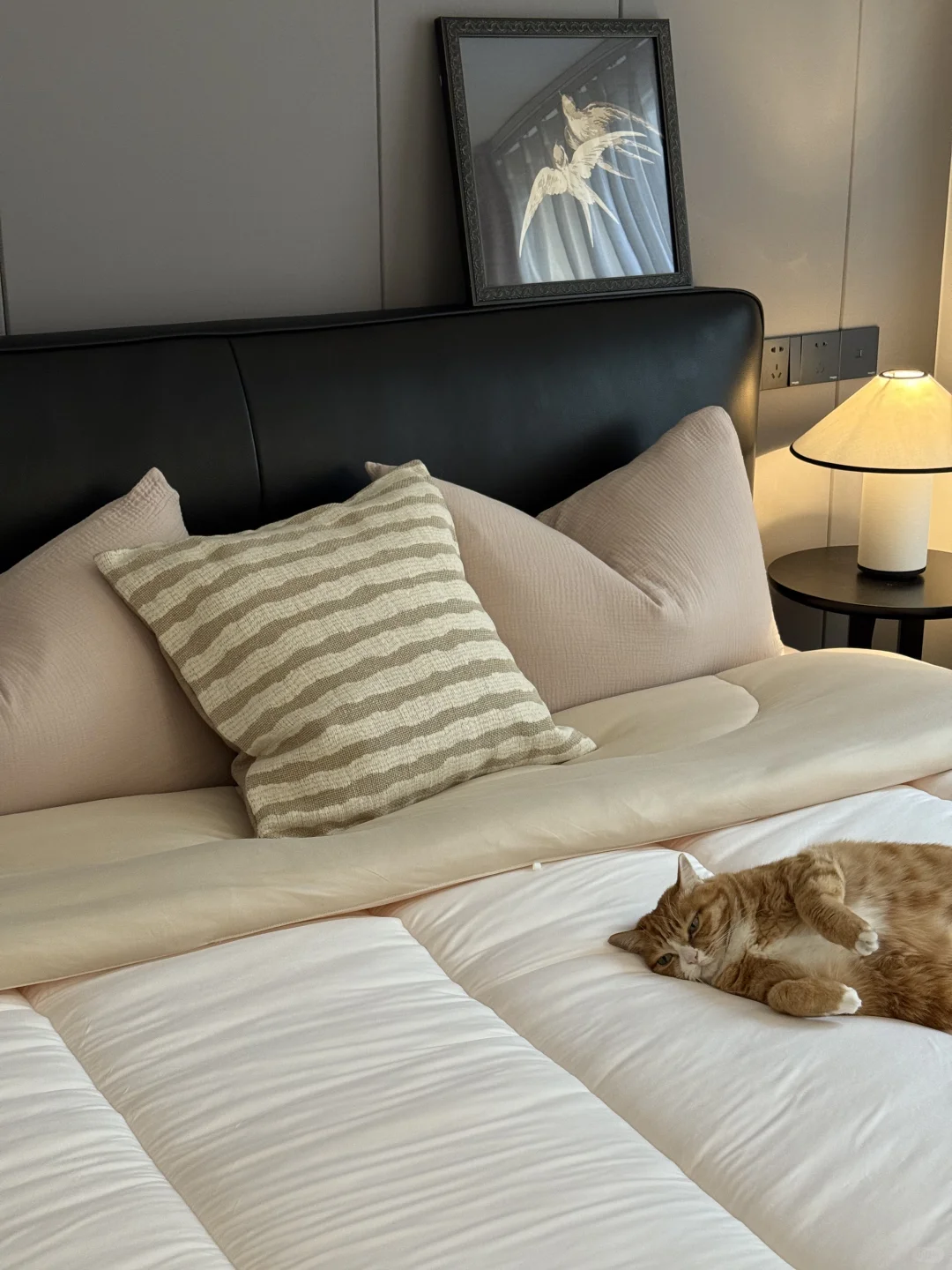 第一次装修成这样，已经很满意了😃