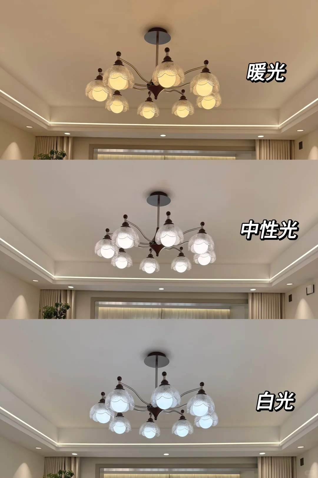 没错，这是我在小红书上很喜欢的一套房子🏠