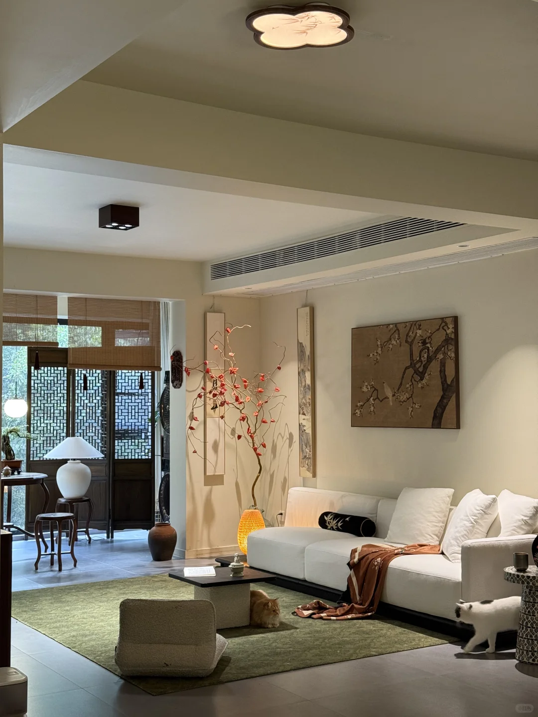 人生第一次装修｜我也算吃到老祖宗的细糠了