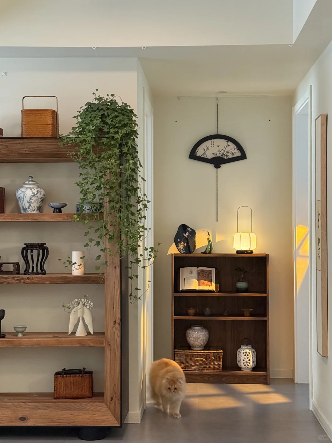 人生第一次装修｜我也算吃到老祖宗的细糠了