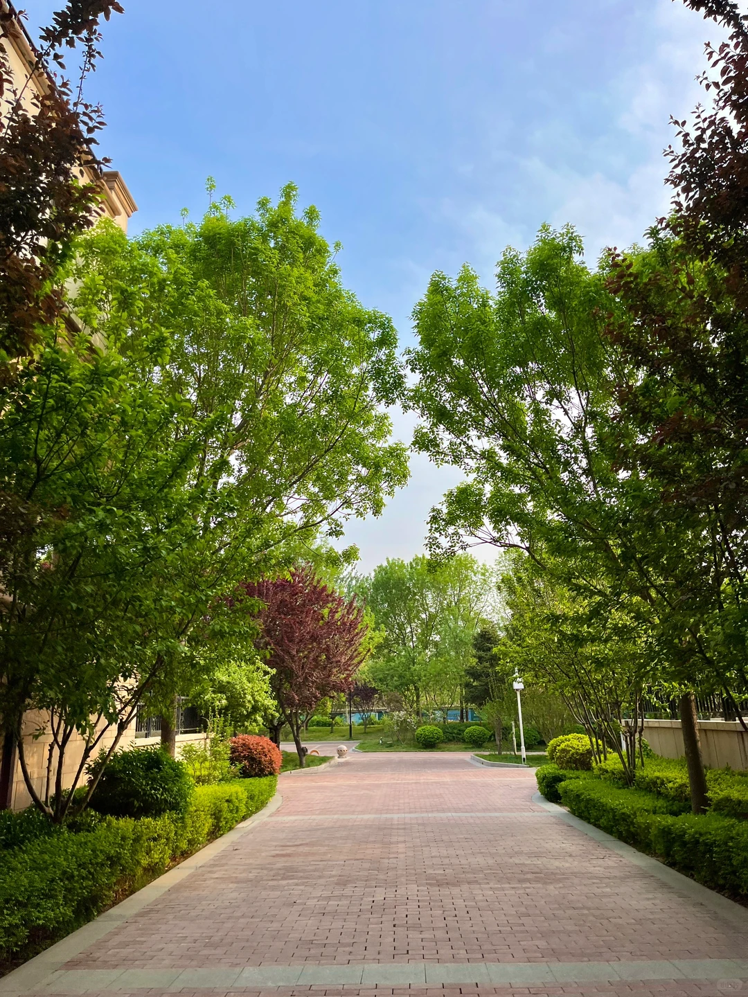 石家庄，不敢想象住这会有多快乐！！