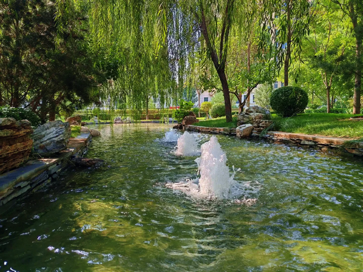 石家庄选房六个月，毕业下车了！！