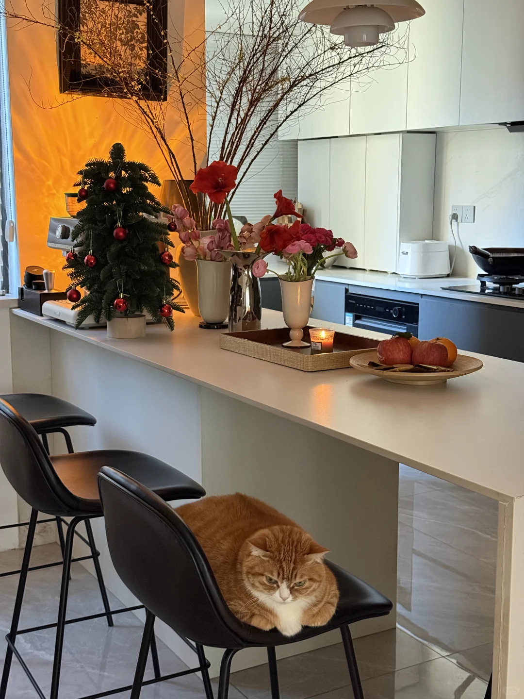 第一次装修成这样，已经很满意了😃