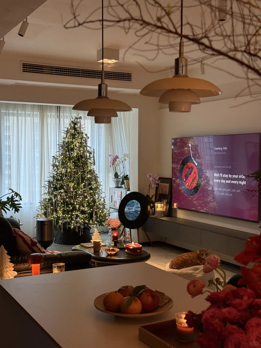 第一次装修成这样，已经很满意了😃