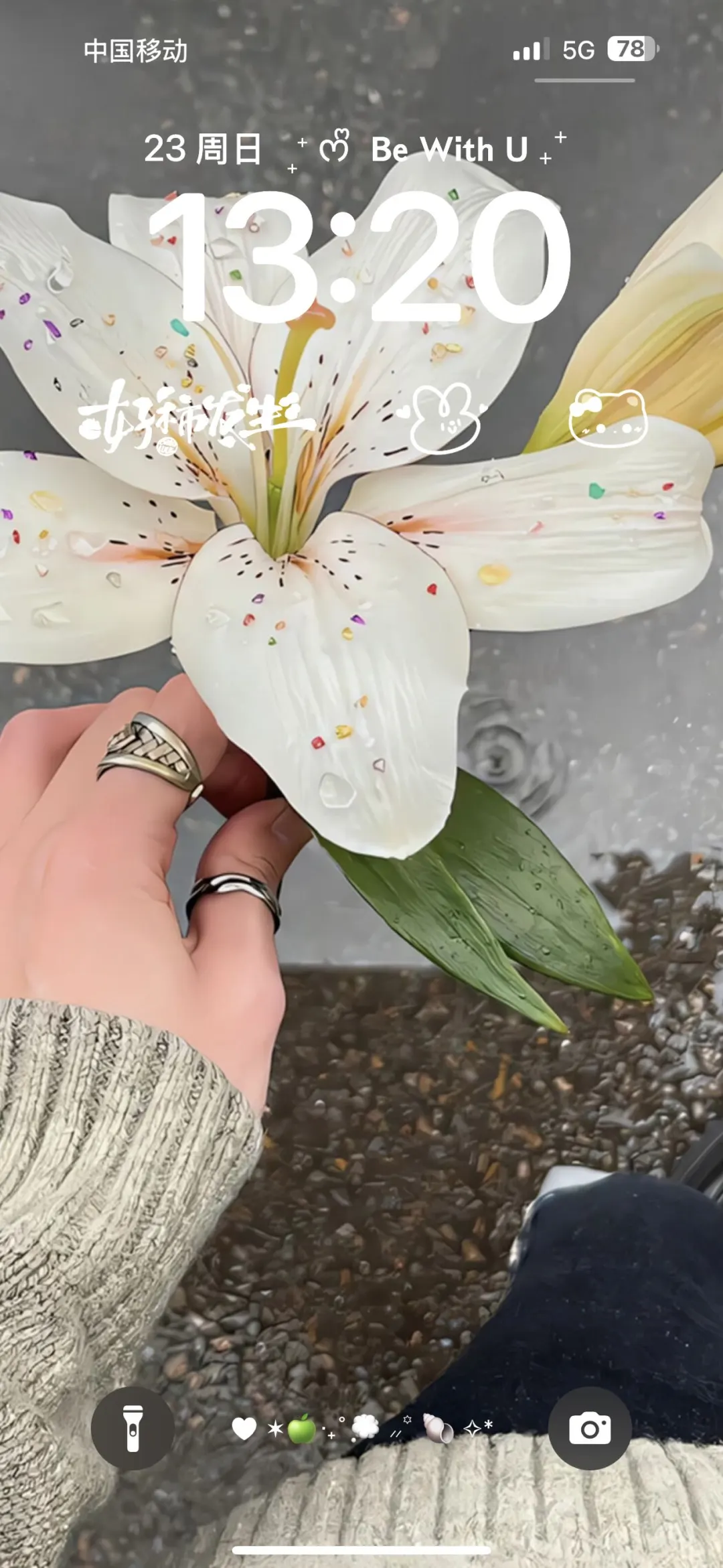 𝒔𝒉𝒂𝒓𝒆 | 百合花壁纸