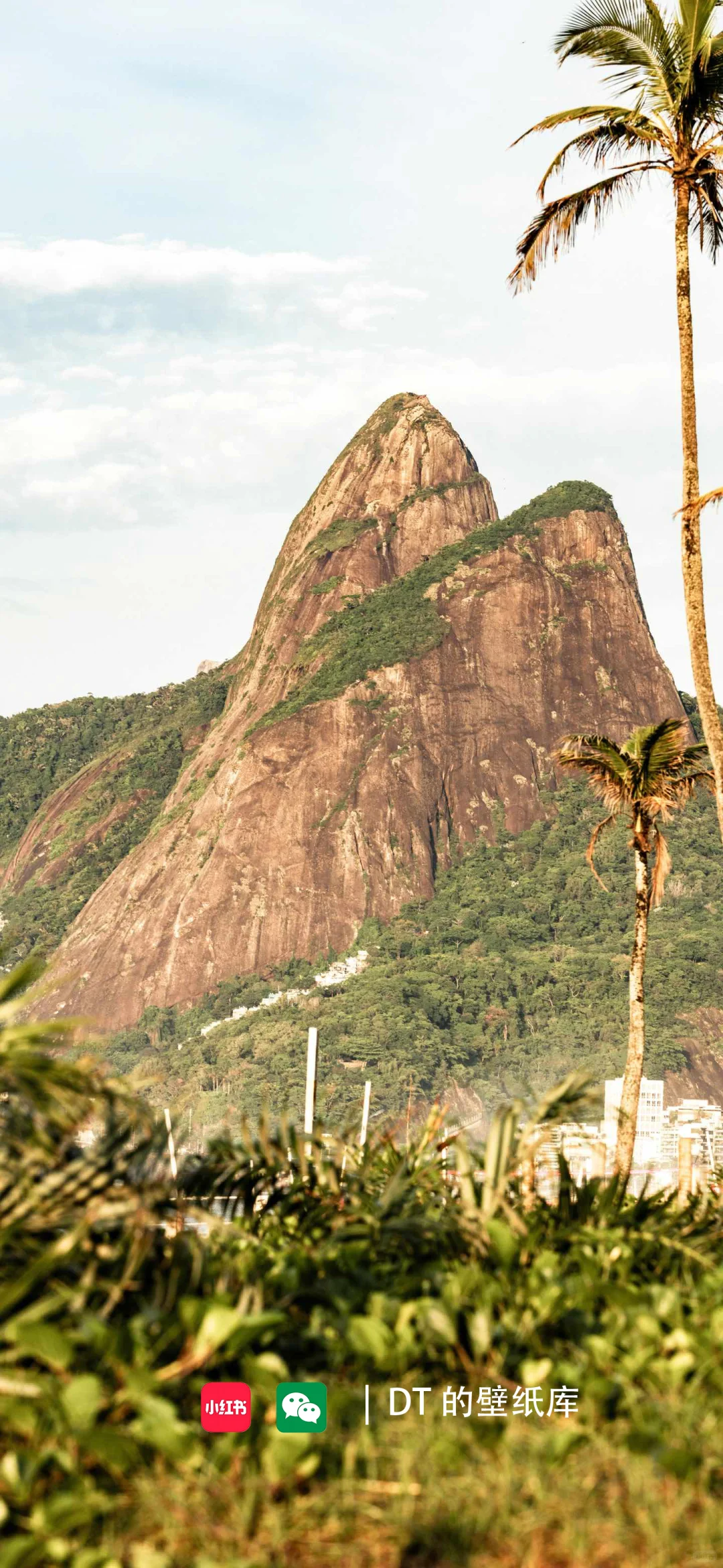 每日壁纸｜11.23
