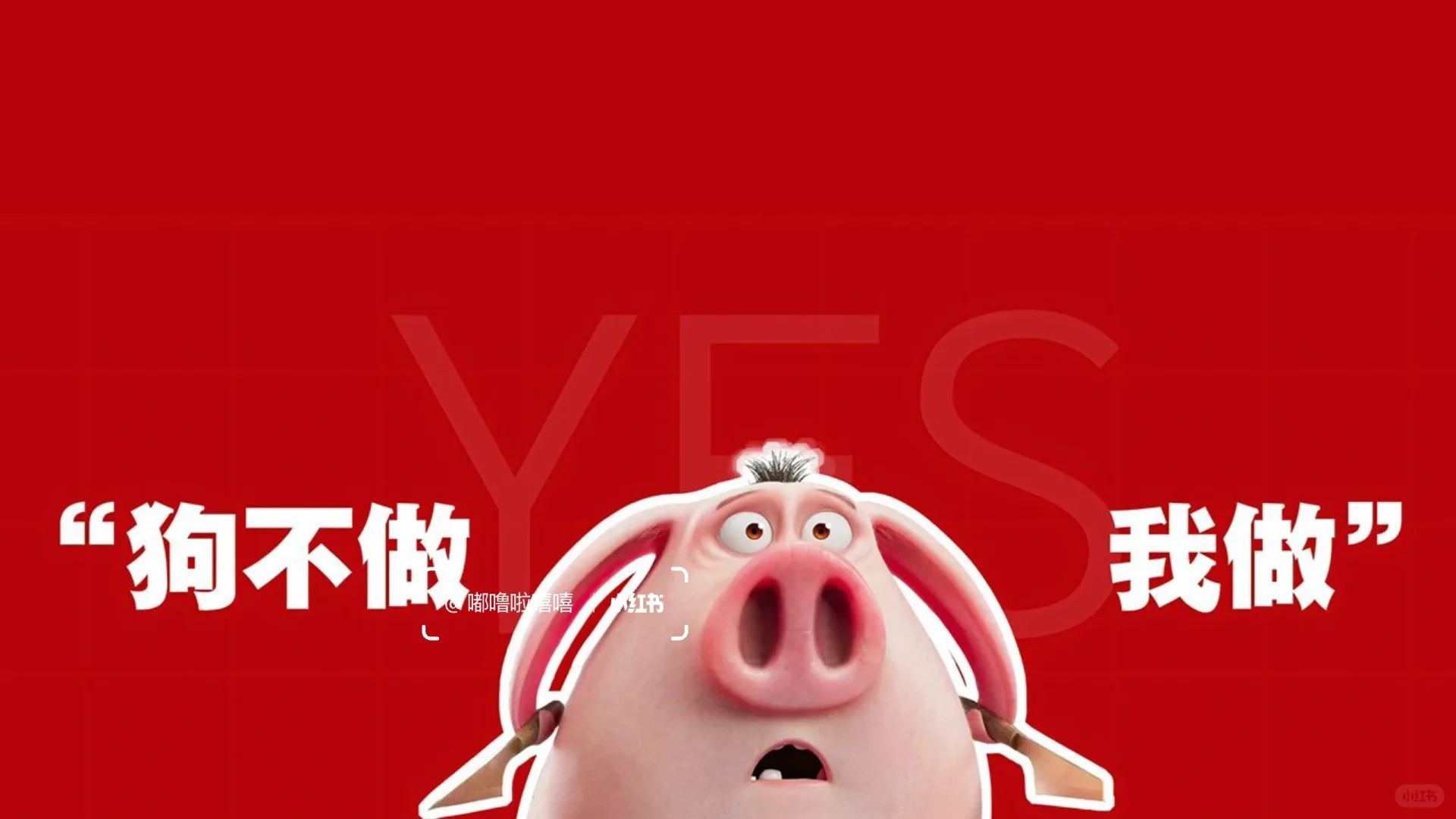 电脑桌面｜人生缓缓 自有答案