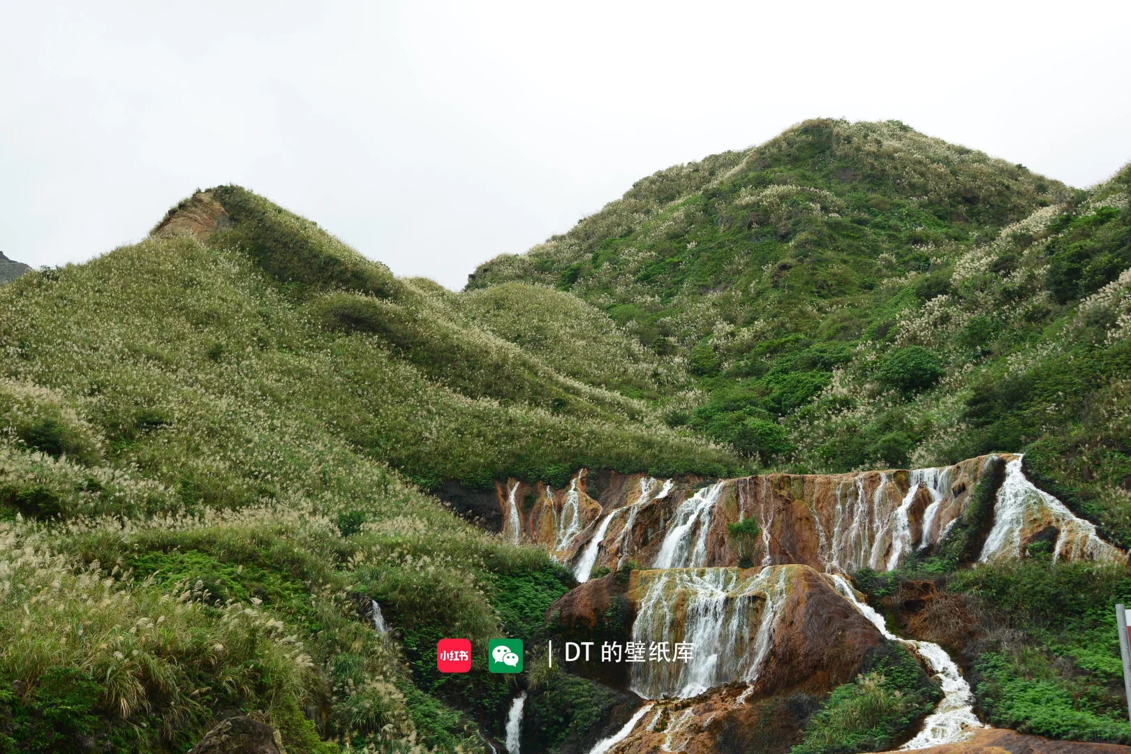 每日壁纸｜11.23