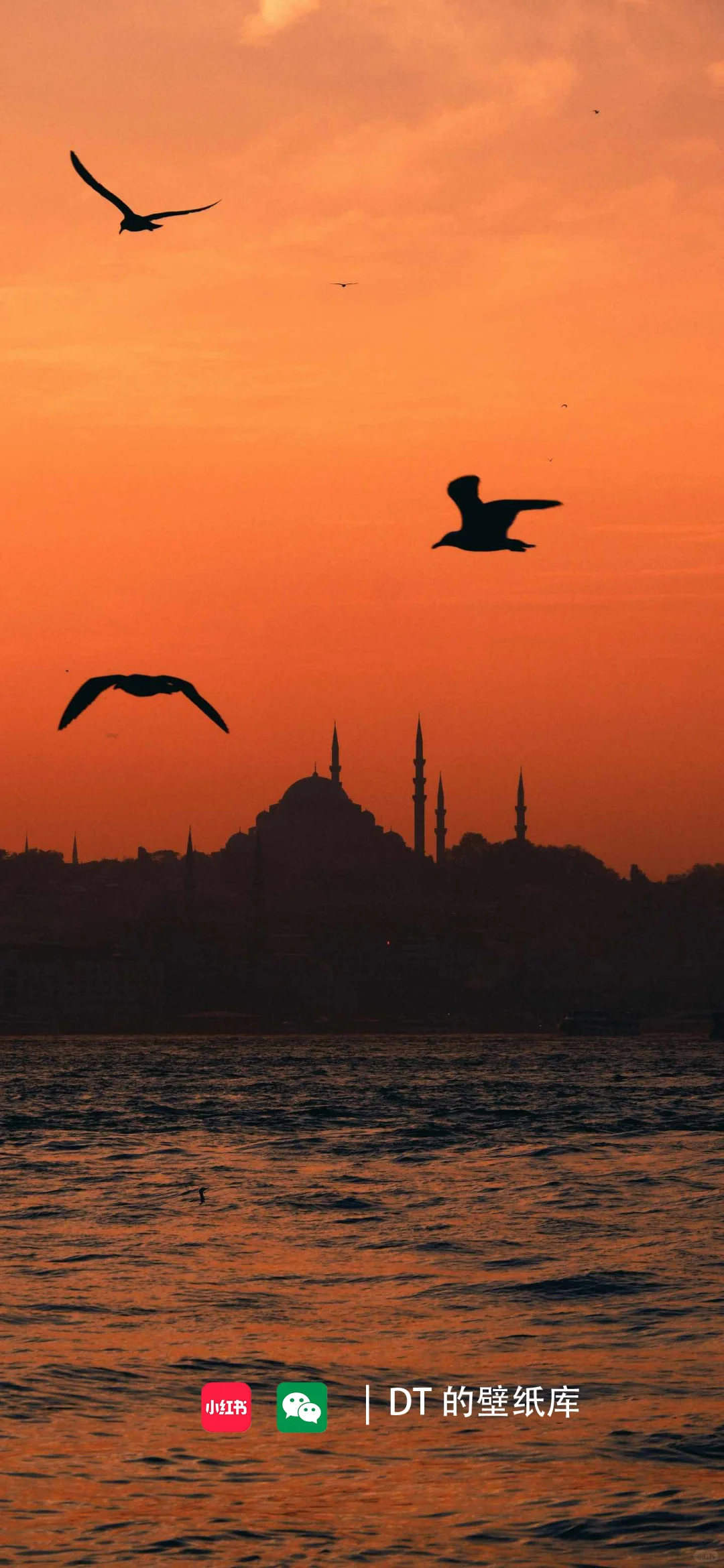 每日壁纸｜11.23