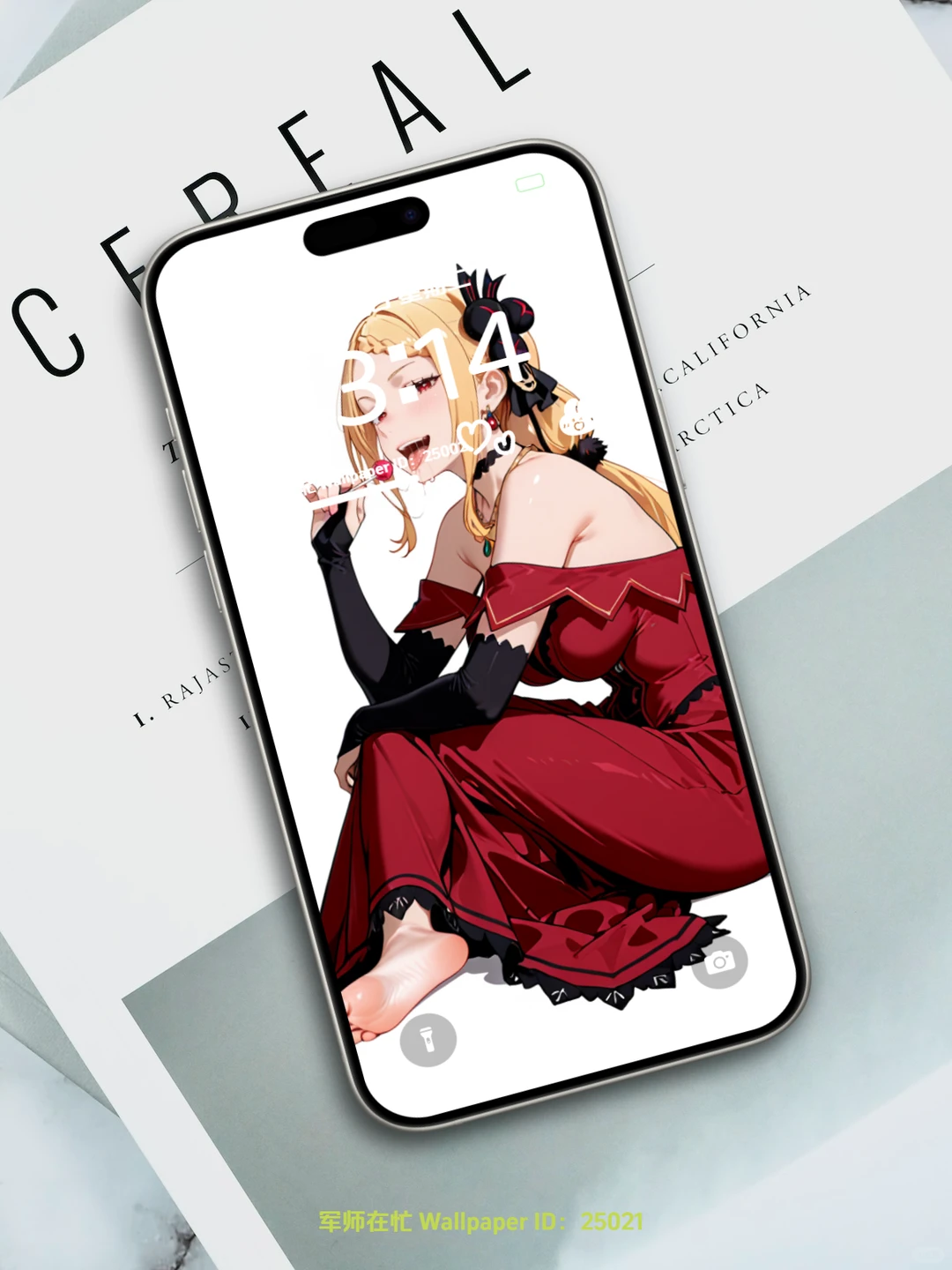 今日壁纸主题：这是我定制的百合 编号25021