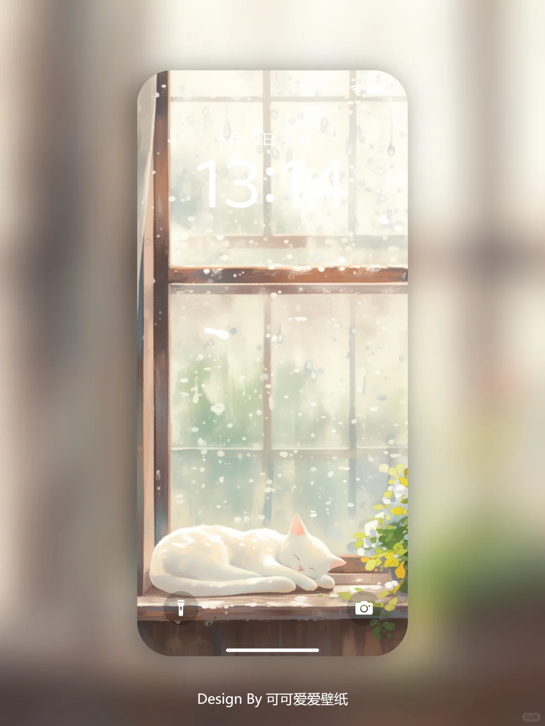 167 | 🐱雨天窗边的猫和花