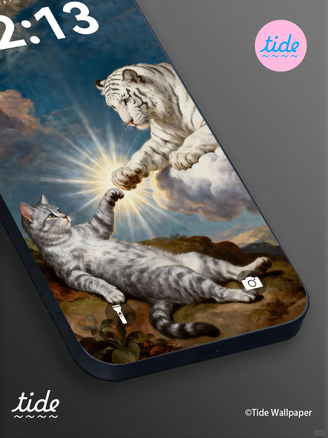 智慧启迪可爱|终于找到了高级审美宠物壁纸