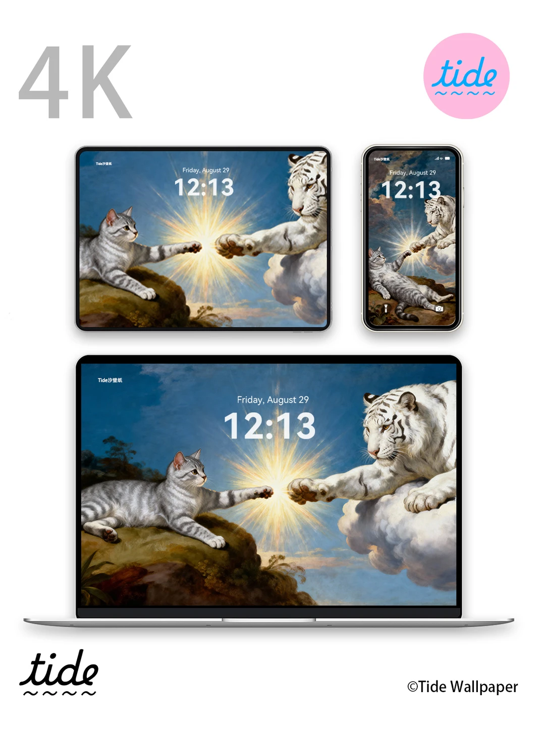 智慧启迪可爱|终于找到了高级审美宠物壁纸