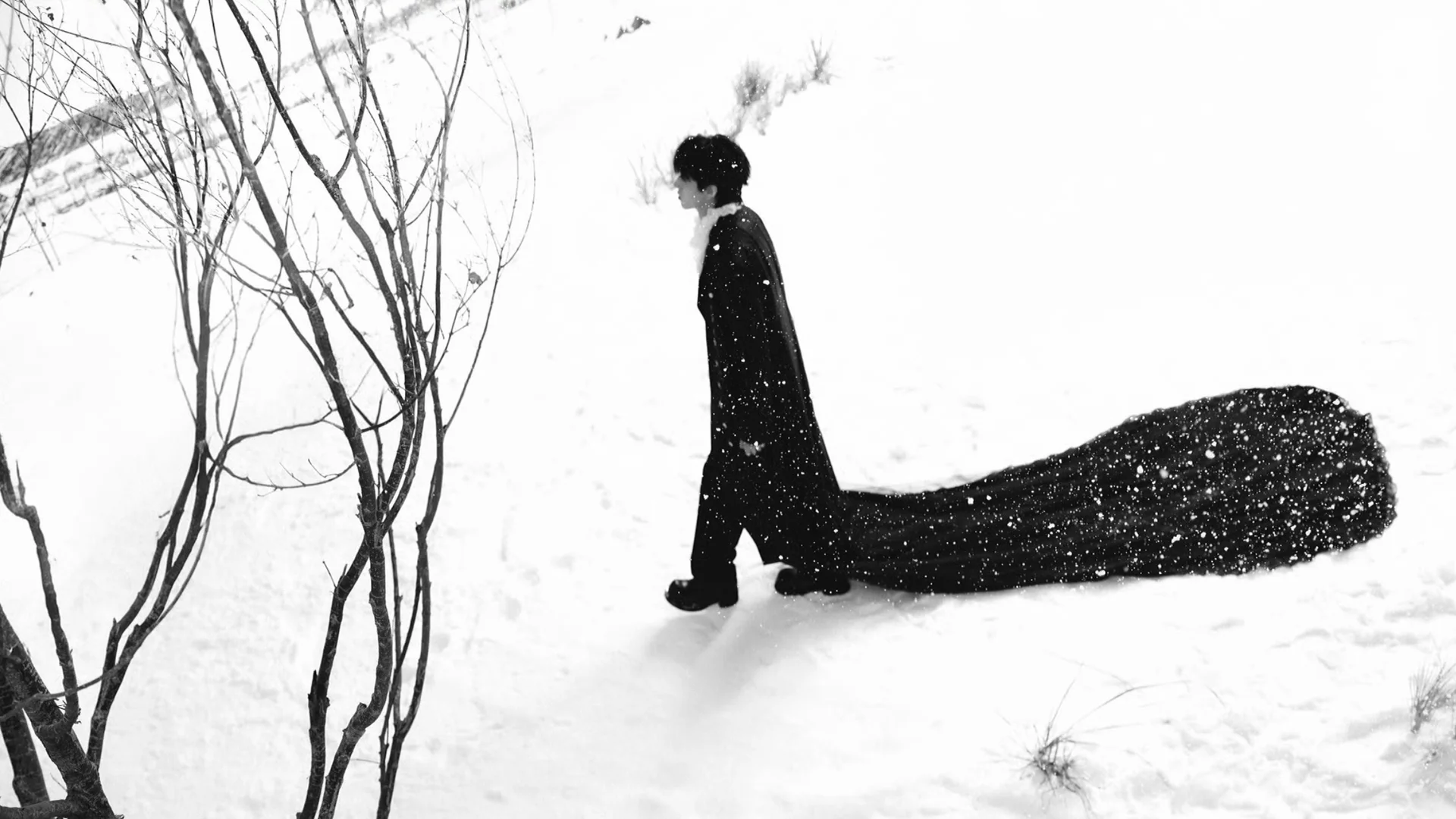 电脑桌面壁纸朱志鑫 Ungezähmt Part 1.1