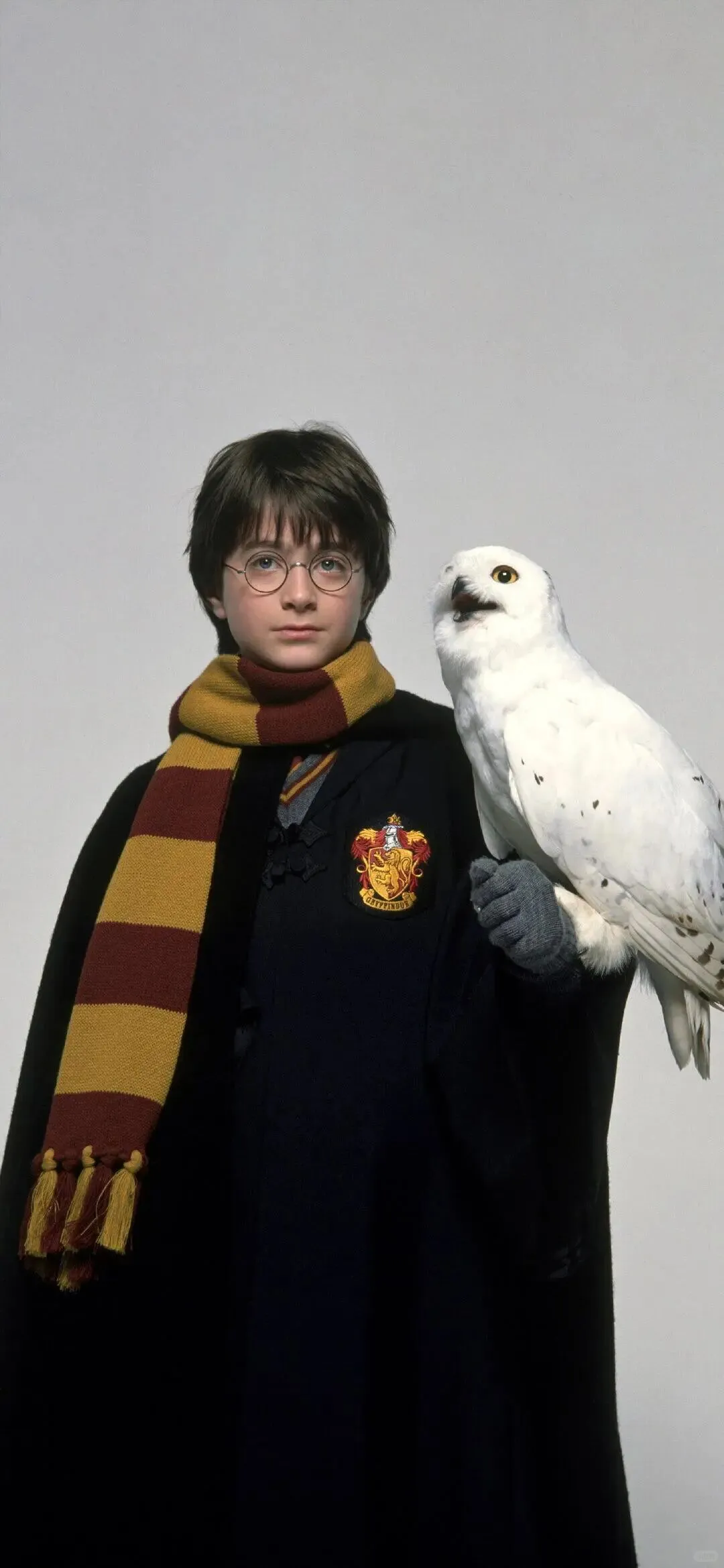 哈利波特手机壁纸