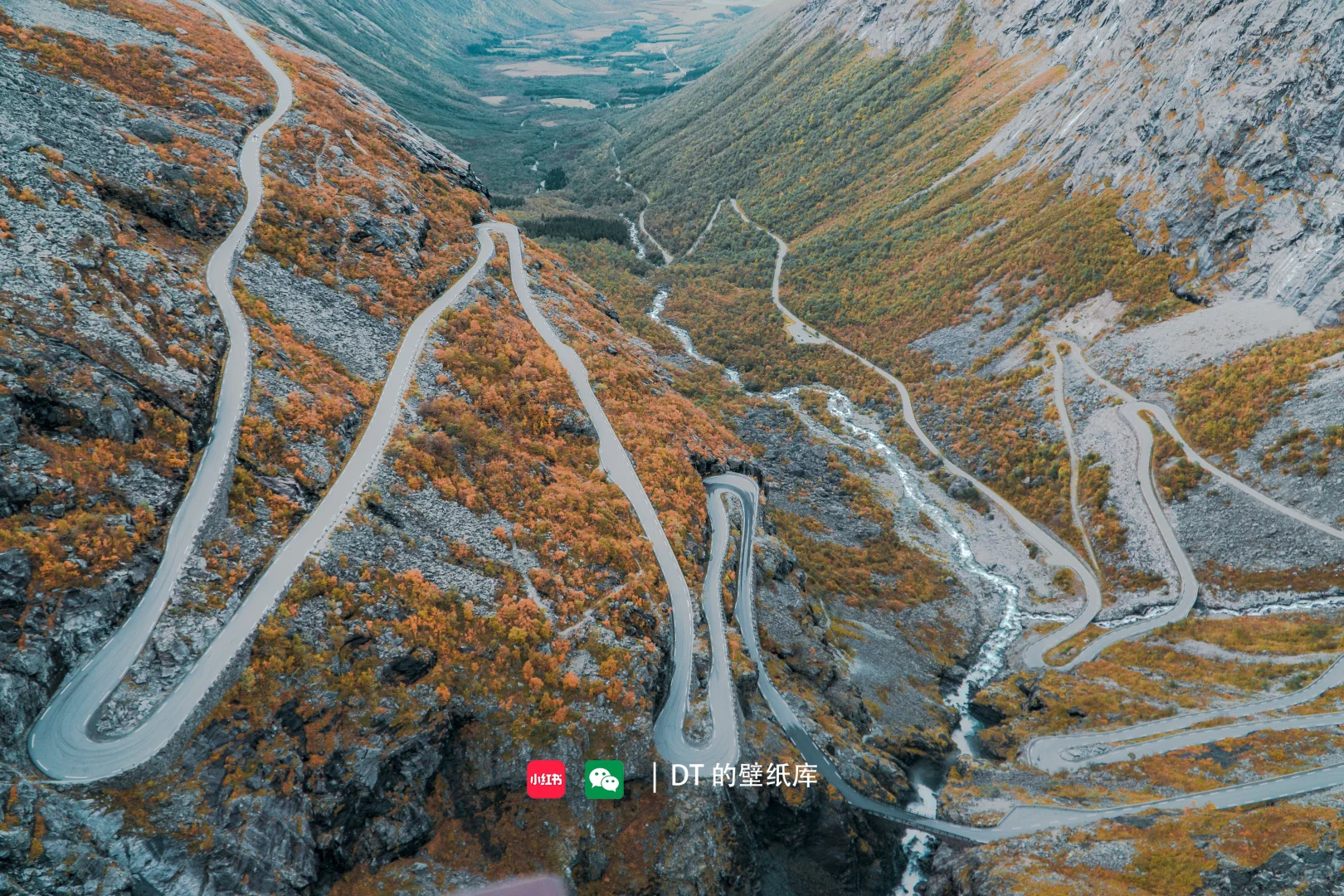 每日壁纸｜11.23