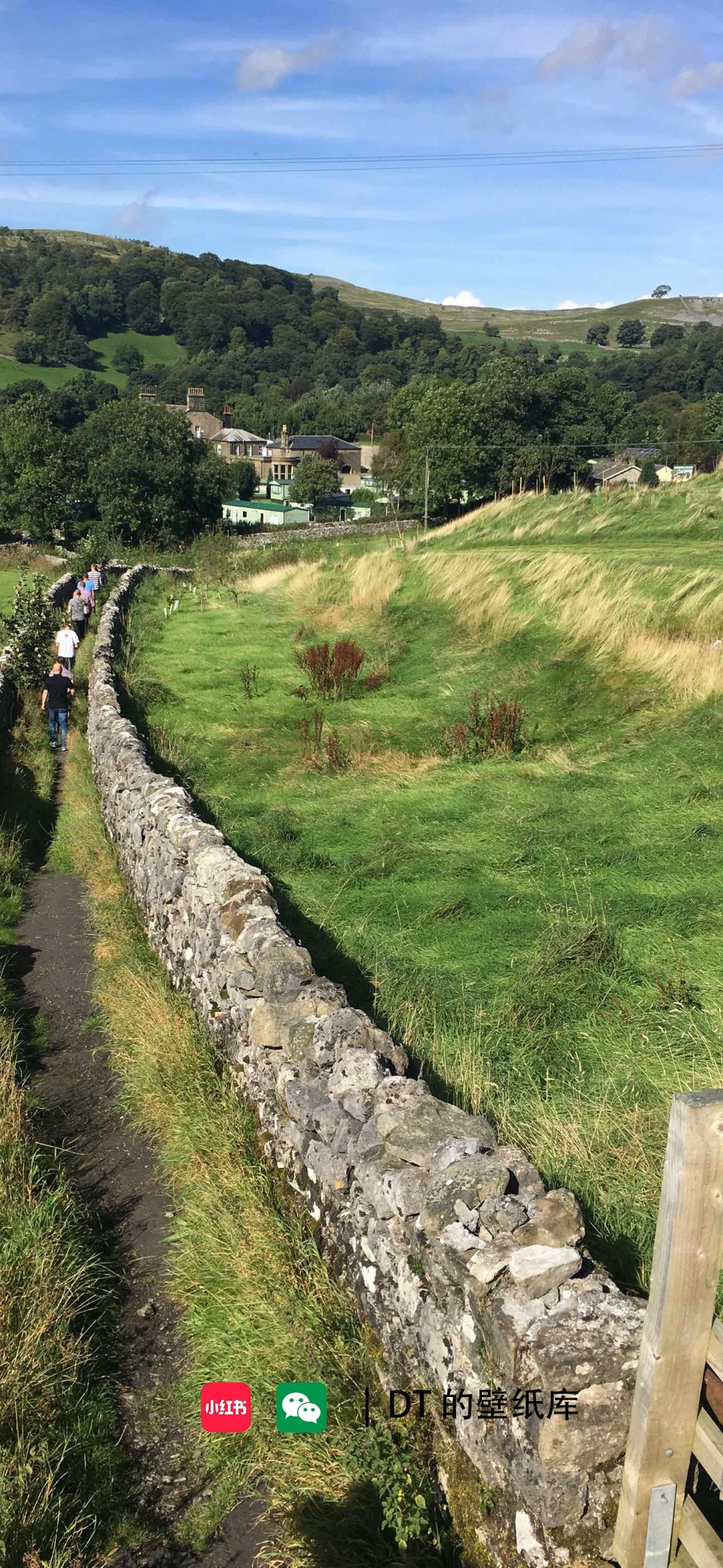 每日壁纸｜11.23