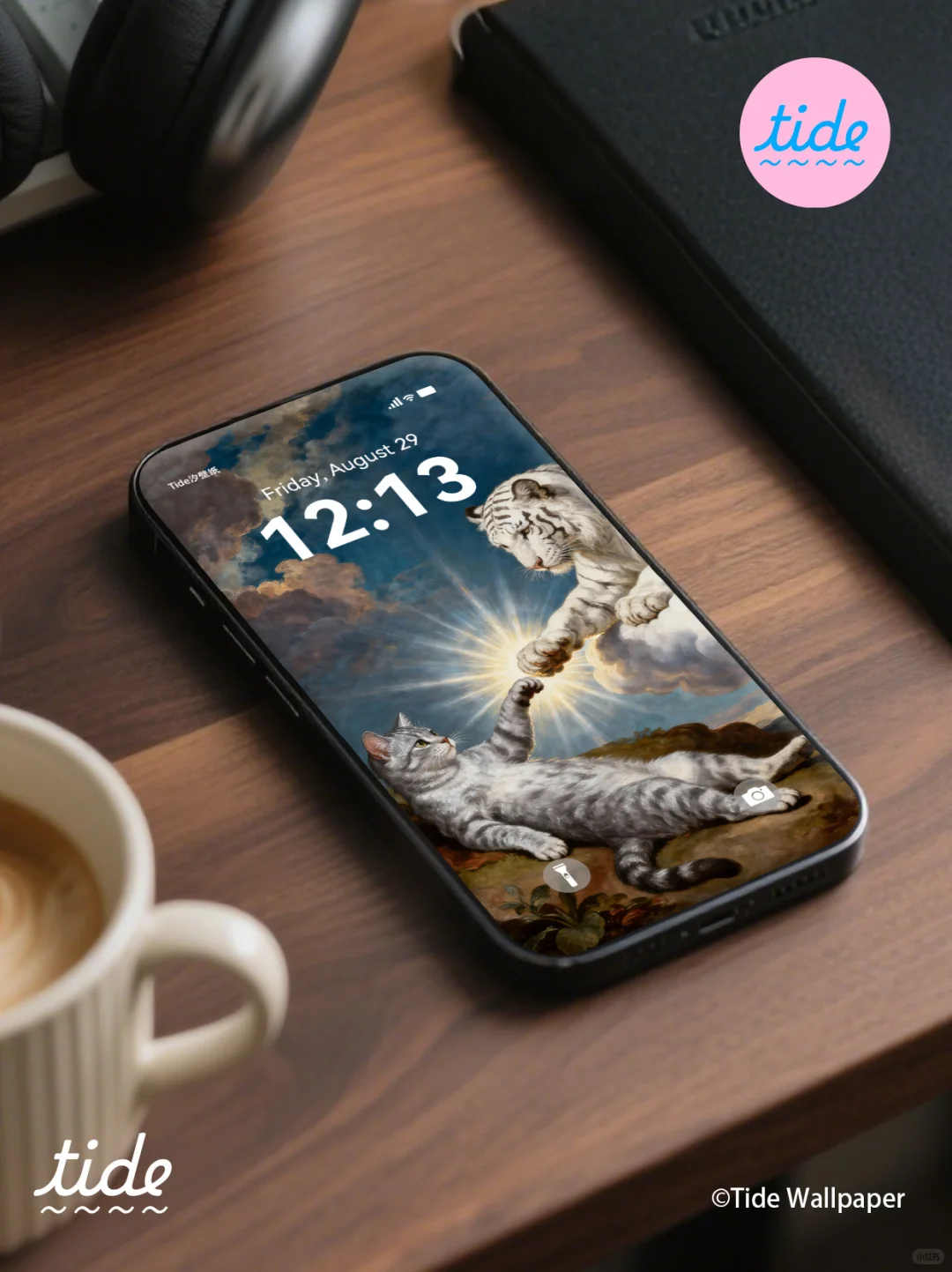 智慧启迪可爱|终于找到了高级审美宠物壁纸