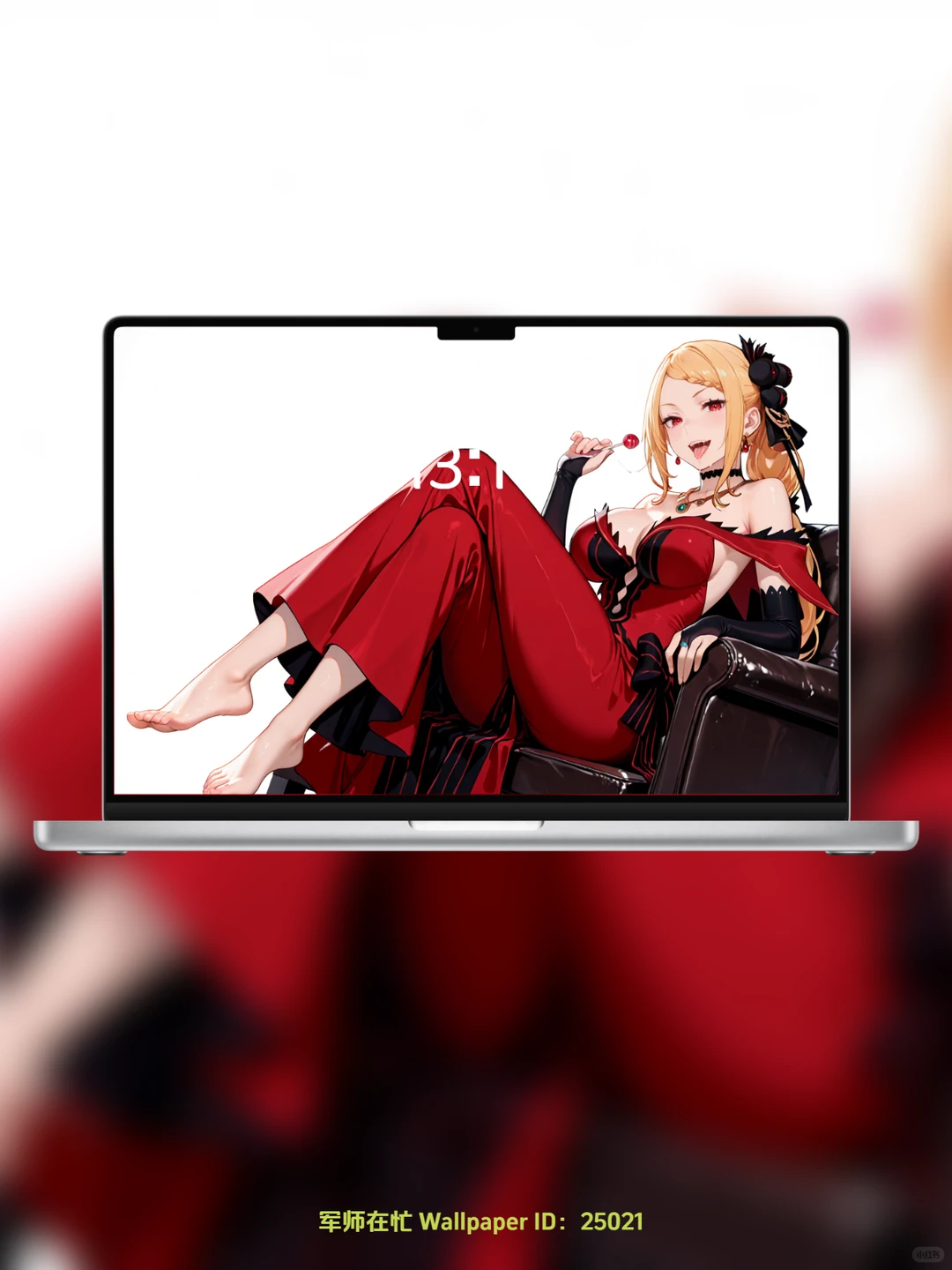 今日壁纸主题：这是我定制的百合 编号25021