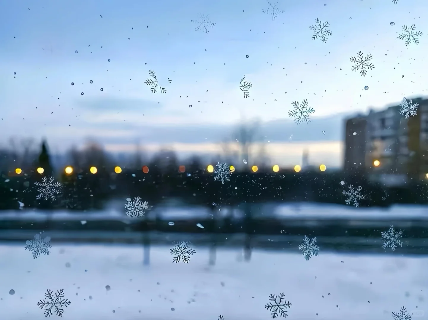 冬日雪花❄️