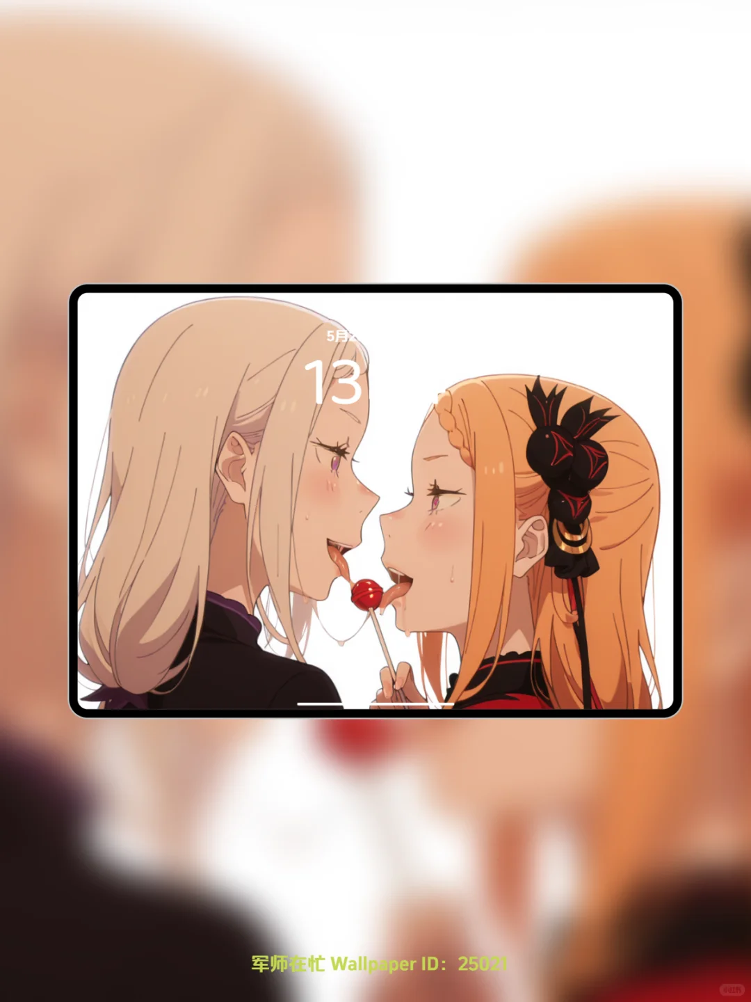 今日壁纸主题：这是我定制的百合 编号25021