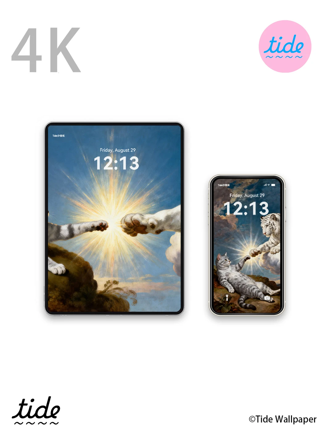 智慧启迪可爱|终于找到了高级审美宠物壁纸