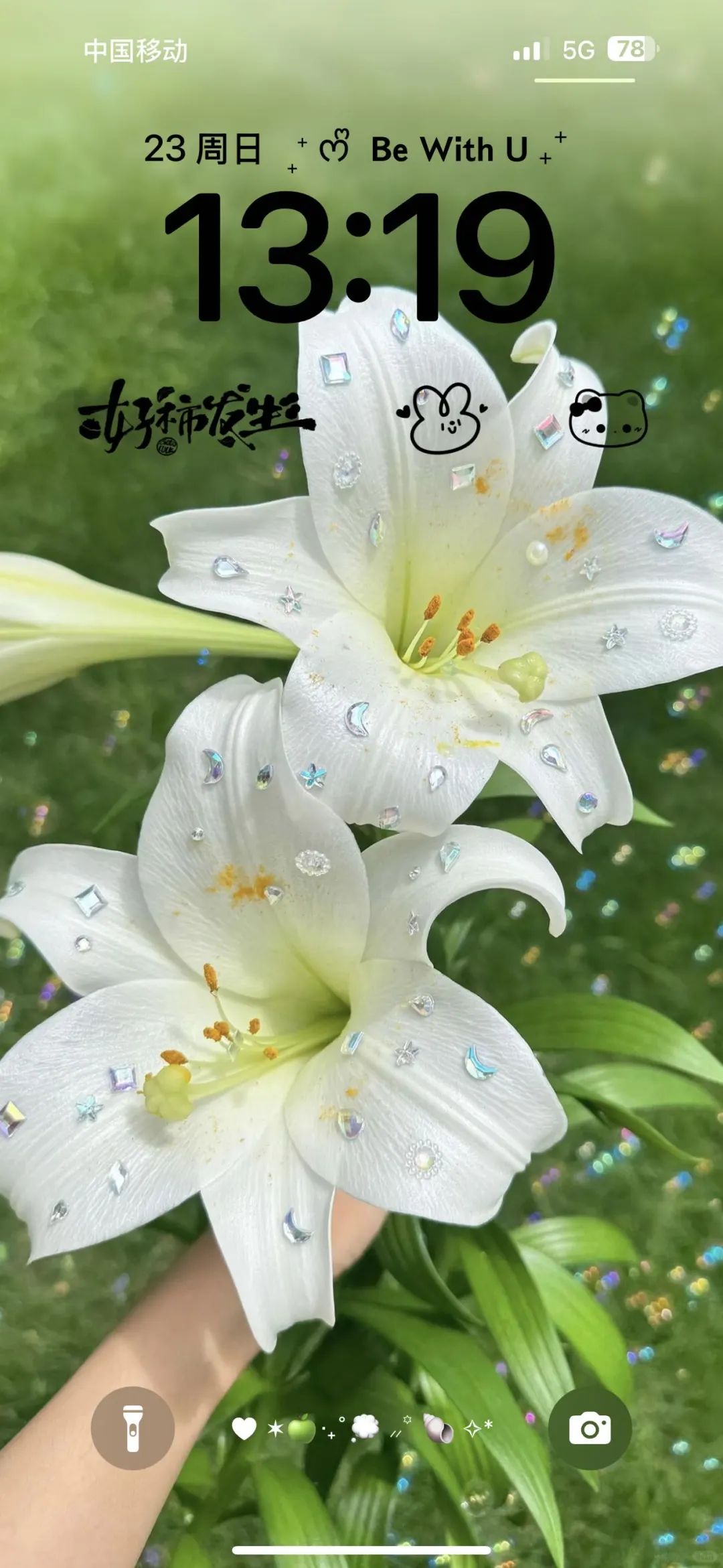 𝒔𝒉𝒂𝒓𝒆 | 百合花壁纸