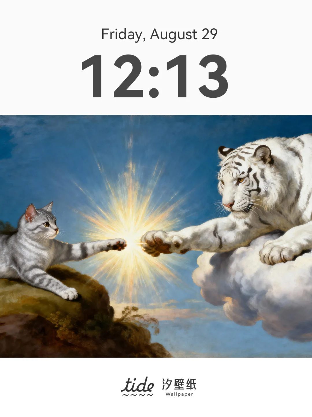 智慧启迪可爱|终于找到了高级审美宠物壁纸