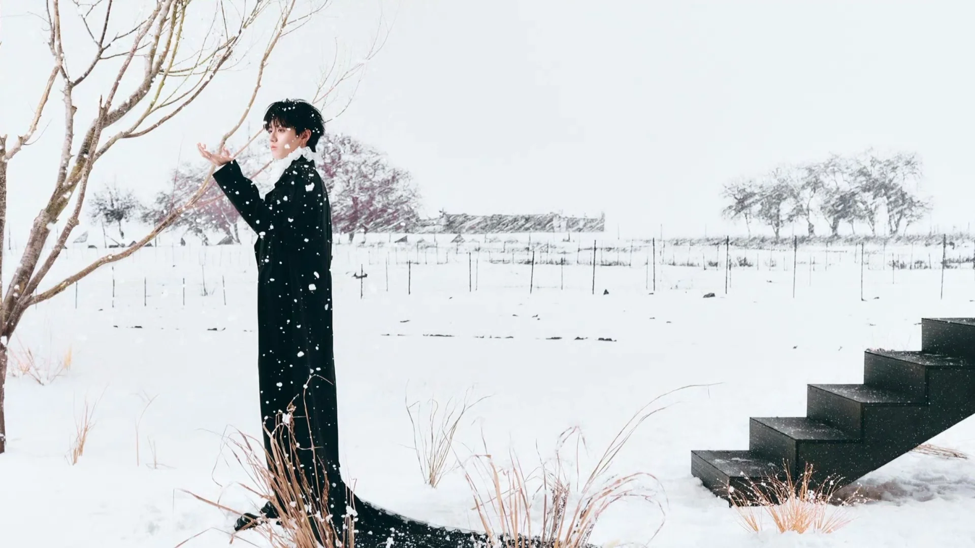 电脑桌面壁纸朱志鑫 Ungezähmt Part 1.1