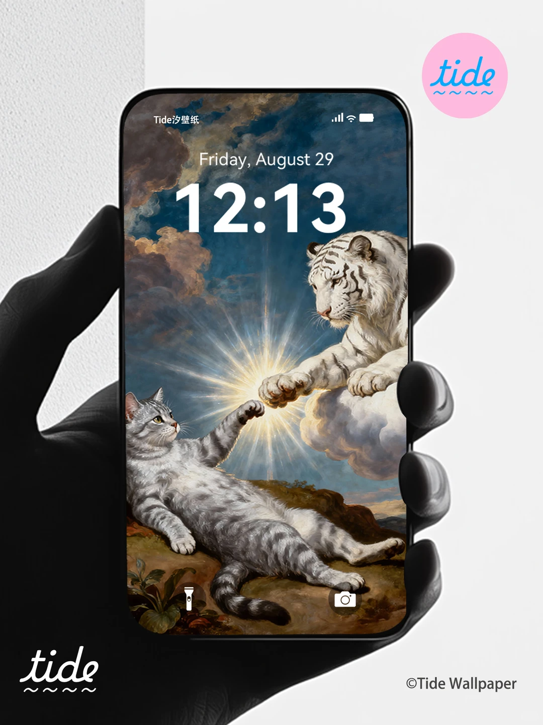 智慧启迪可爱|终于找到了高级审美宠物壁纸