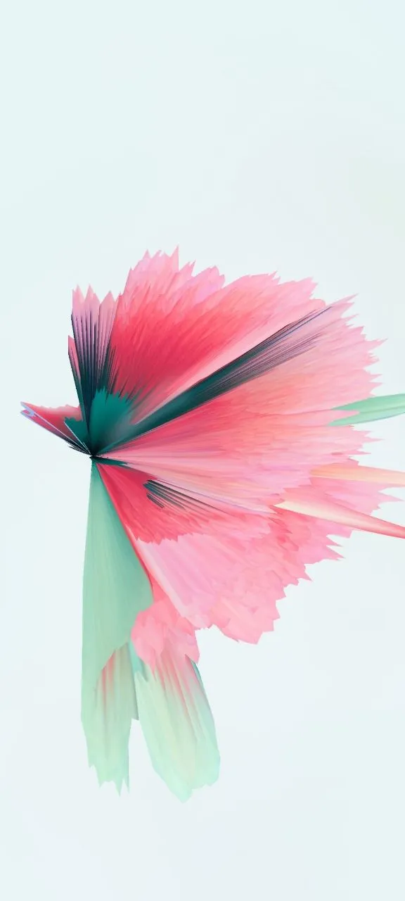 𝐒𝐡𝐚𝐫𝐞｜iPhone壁纸254期