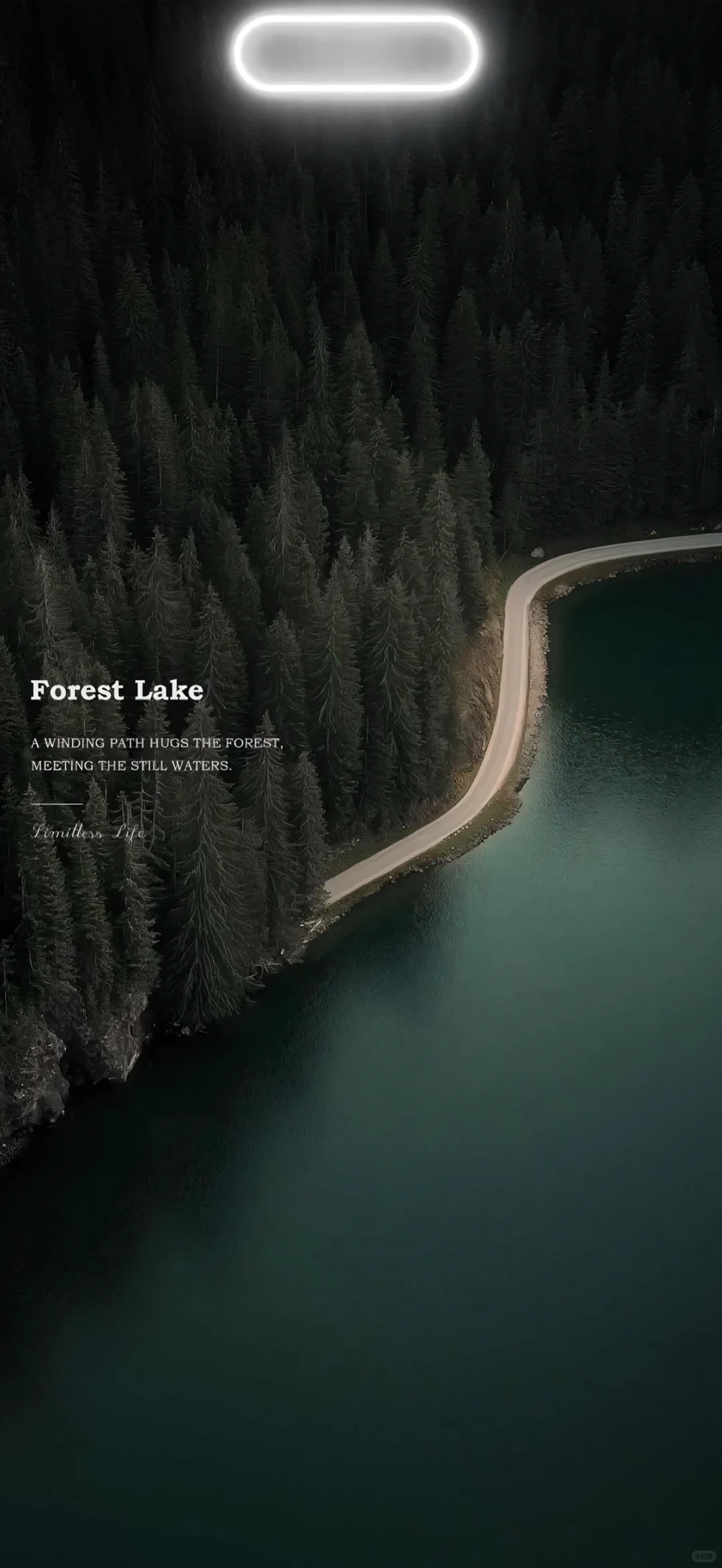 1128*share ｜闪亮灵动岛手机壁纸分享