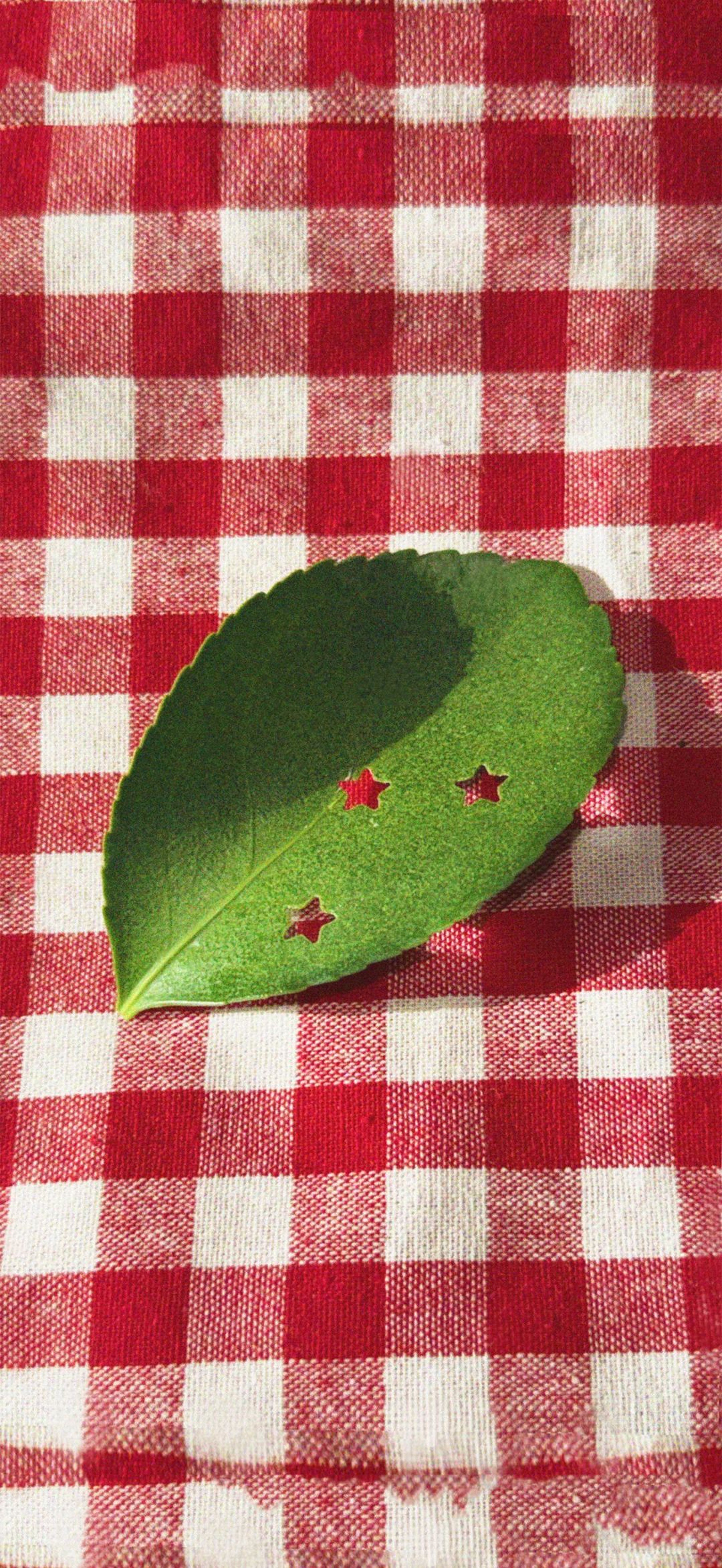 1128*share ｜ins风生活感手机壁纸分享