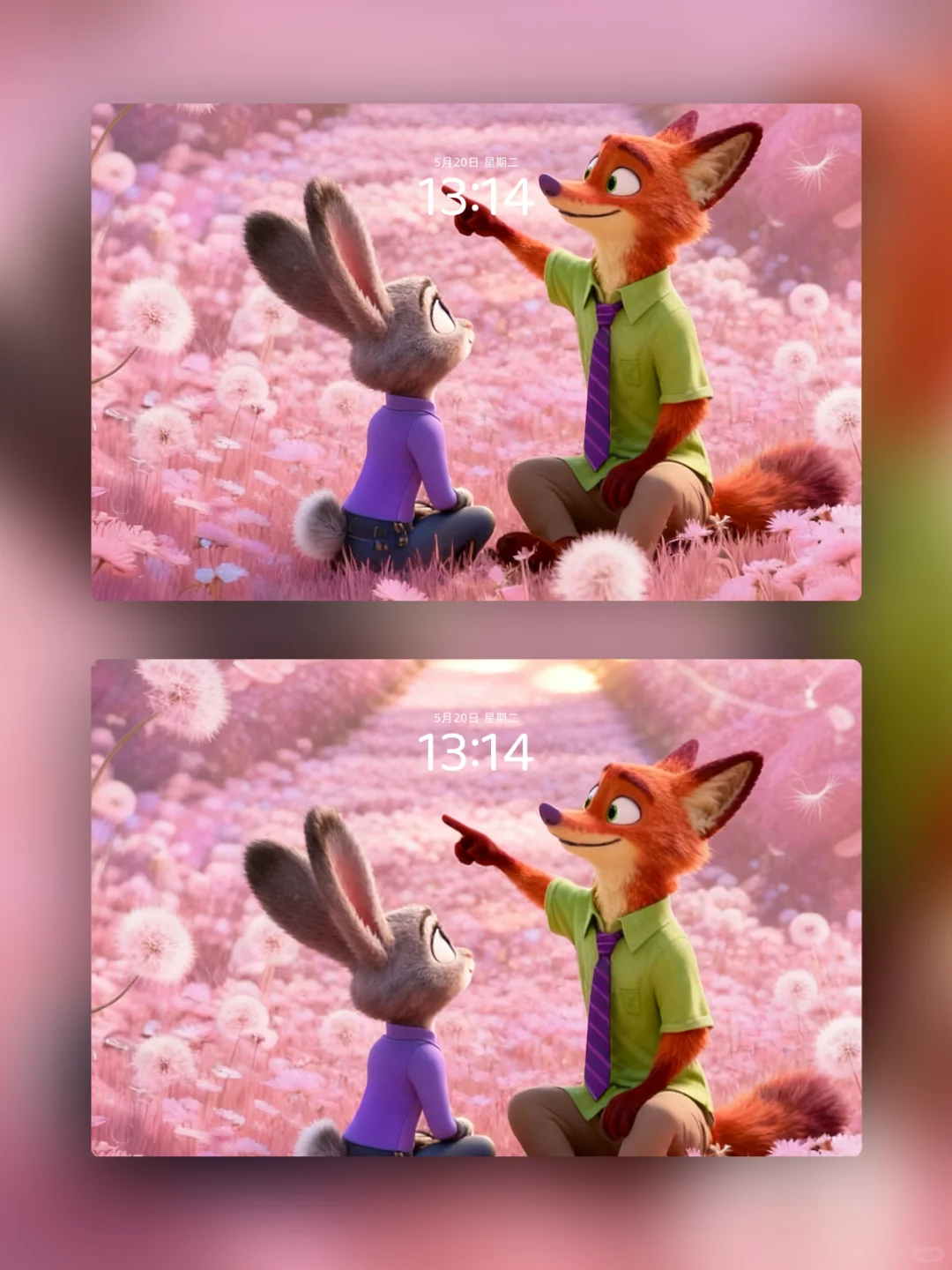 76|疯狂动物城壁纸-粉色郁金香