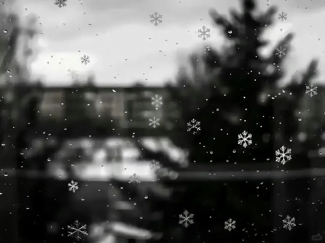 𝙎𝙃𝘼𝙍𝙀❄️ | ipad电脑雪景壁纸