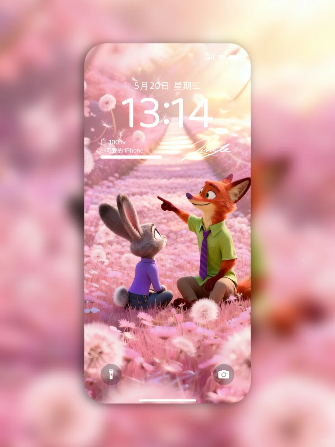 76|疯狂动物城壁纸-粉色郁金香