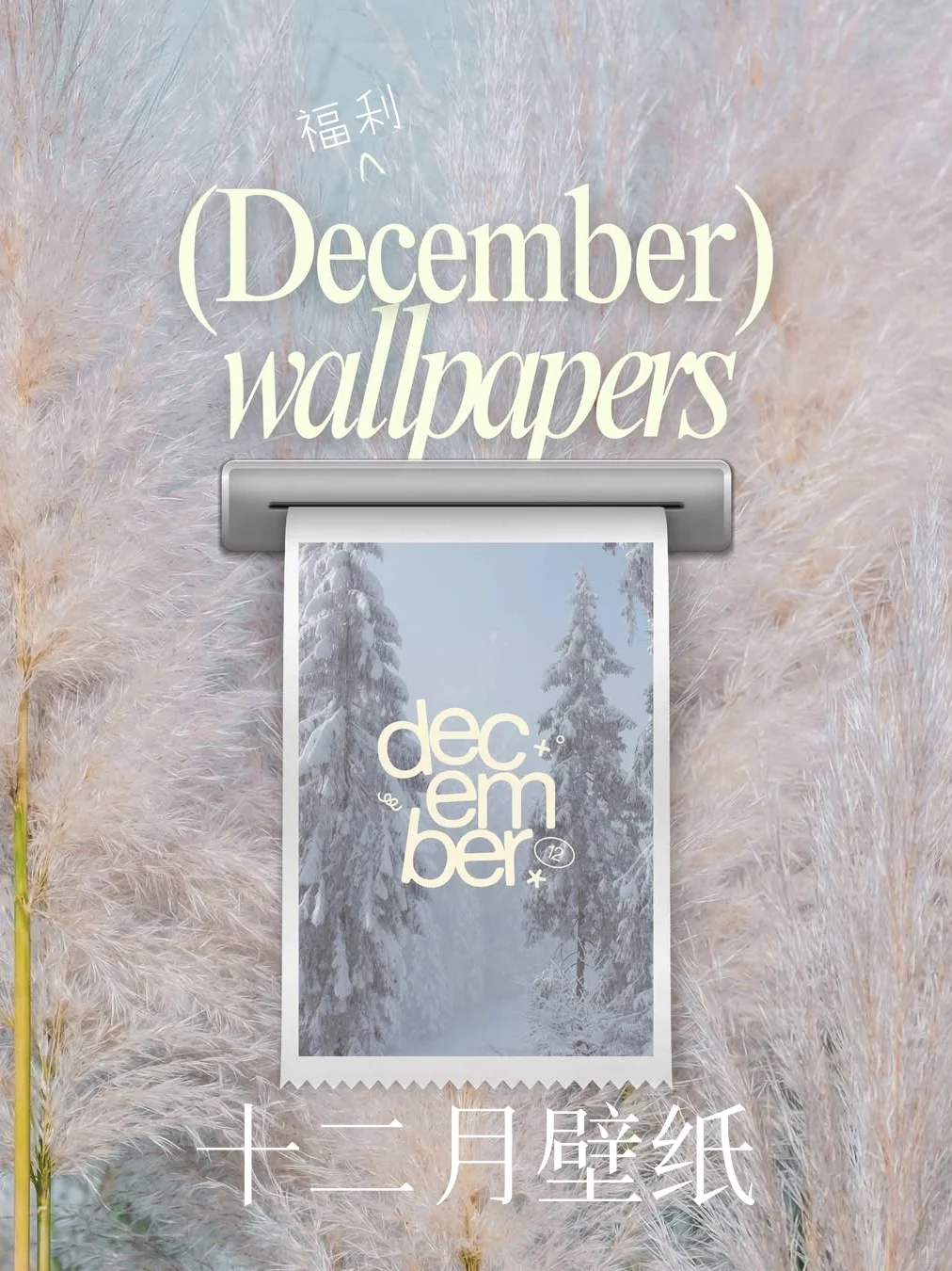 🧣绝美12月壁纸合集！🤩 首图真的放不下❄️