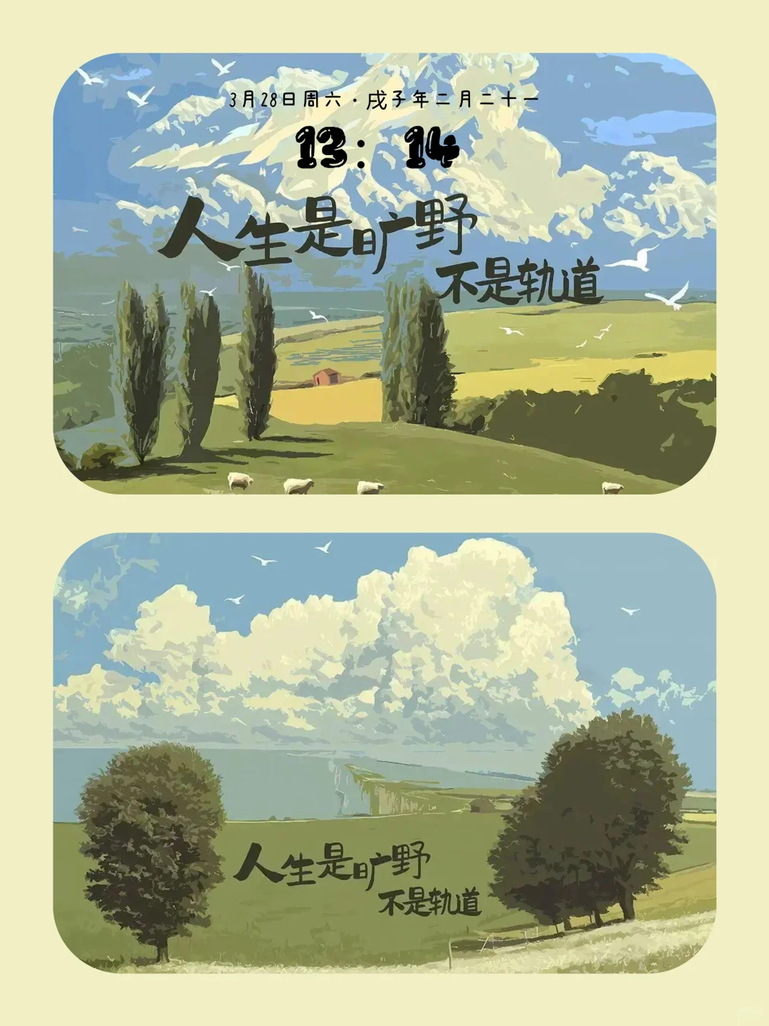 𝗦𝗵𝗮𝗿𝗲🥦丨平板壁纸