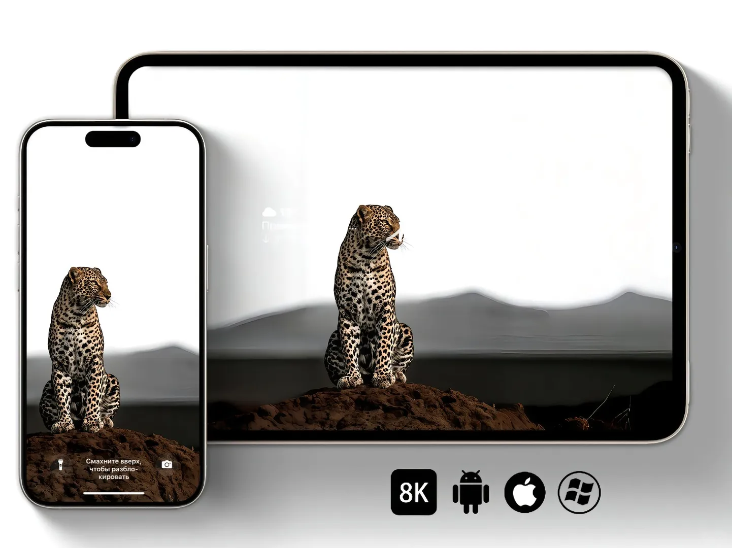 iPad.高清壁纸、无法拒绝的锁屏壁纸、高清壁纸