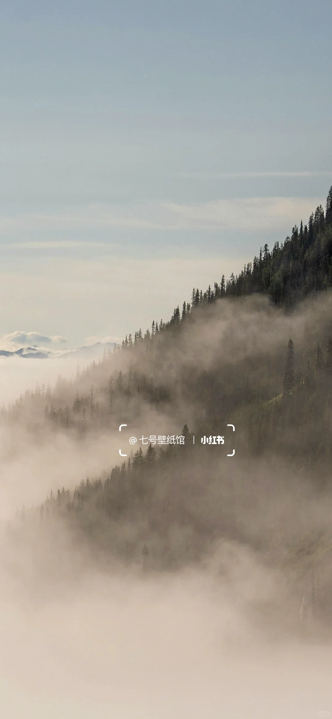 壁纸｜山野自然