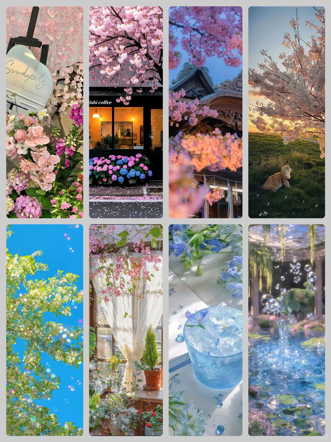 𝙎𝙝𝙖𝙧𝙚｜景深3D高清全屏壁纸