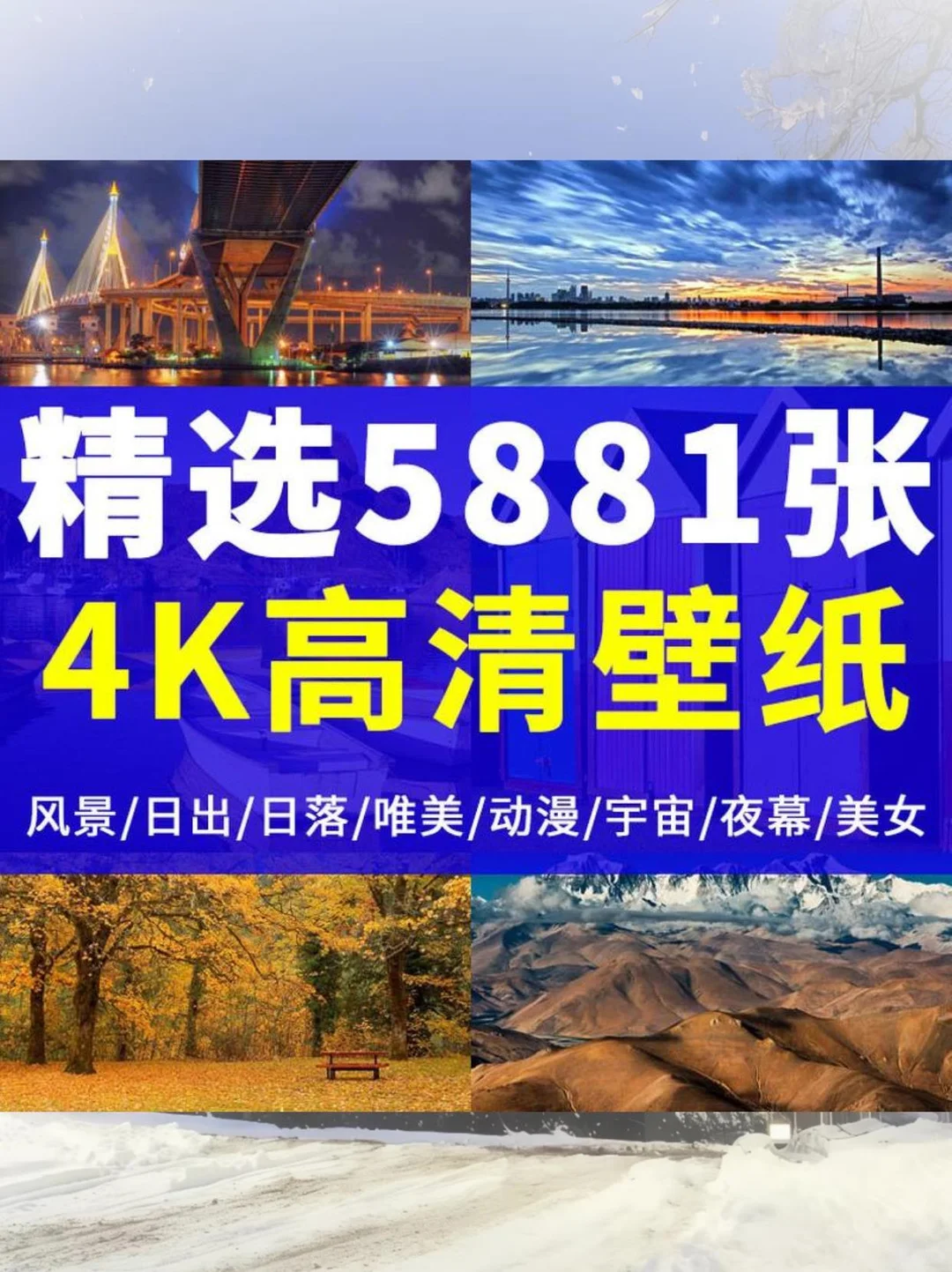 🍃动漫风壁纸！每天都有好心情