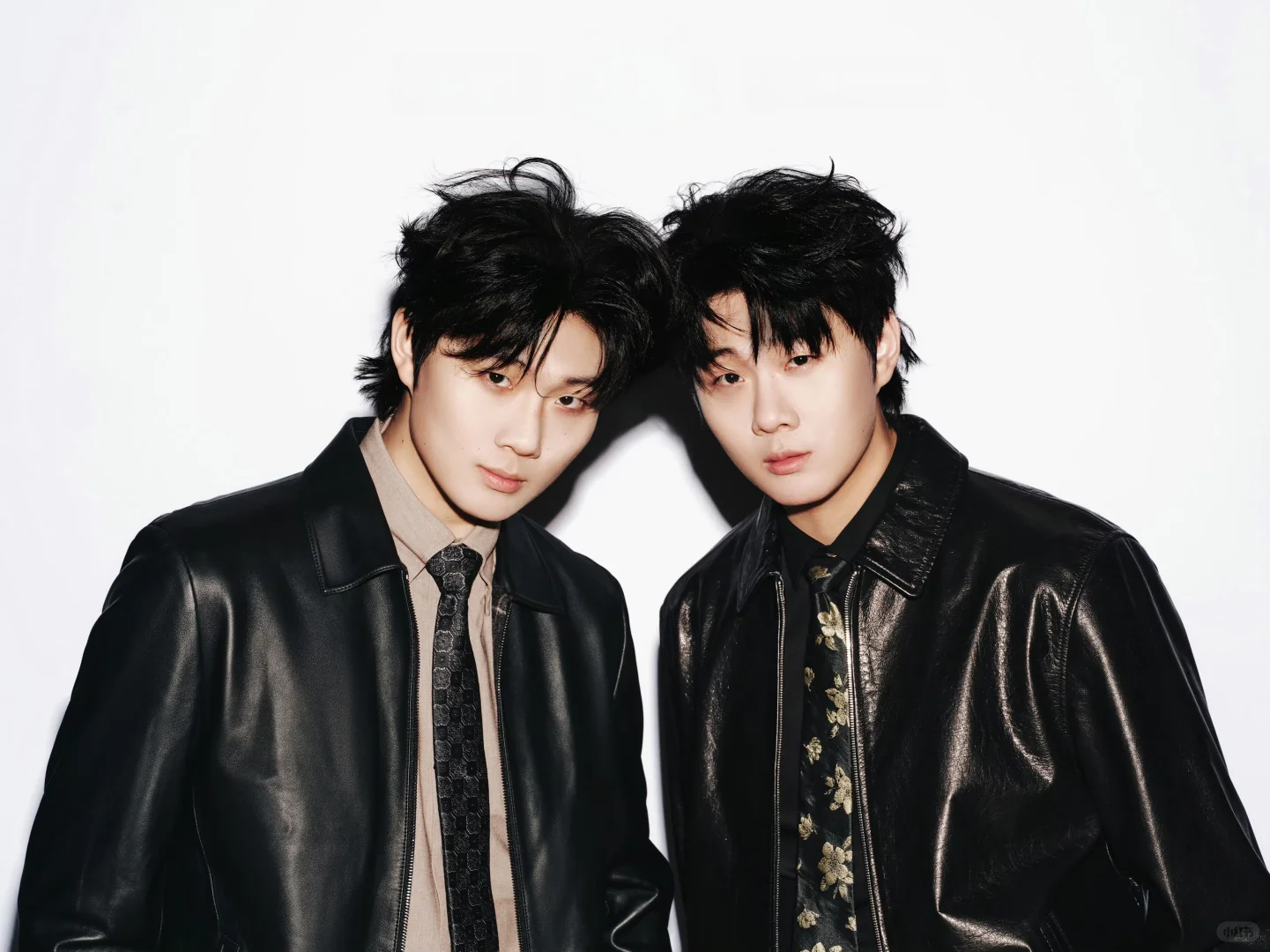 哥俩这张还是太权威了！！！！