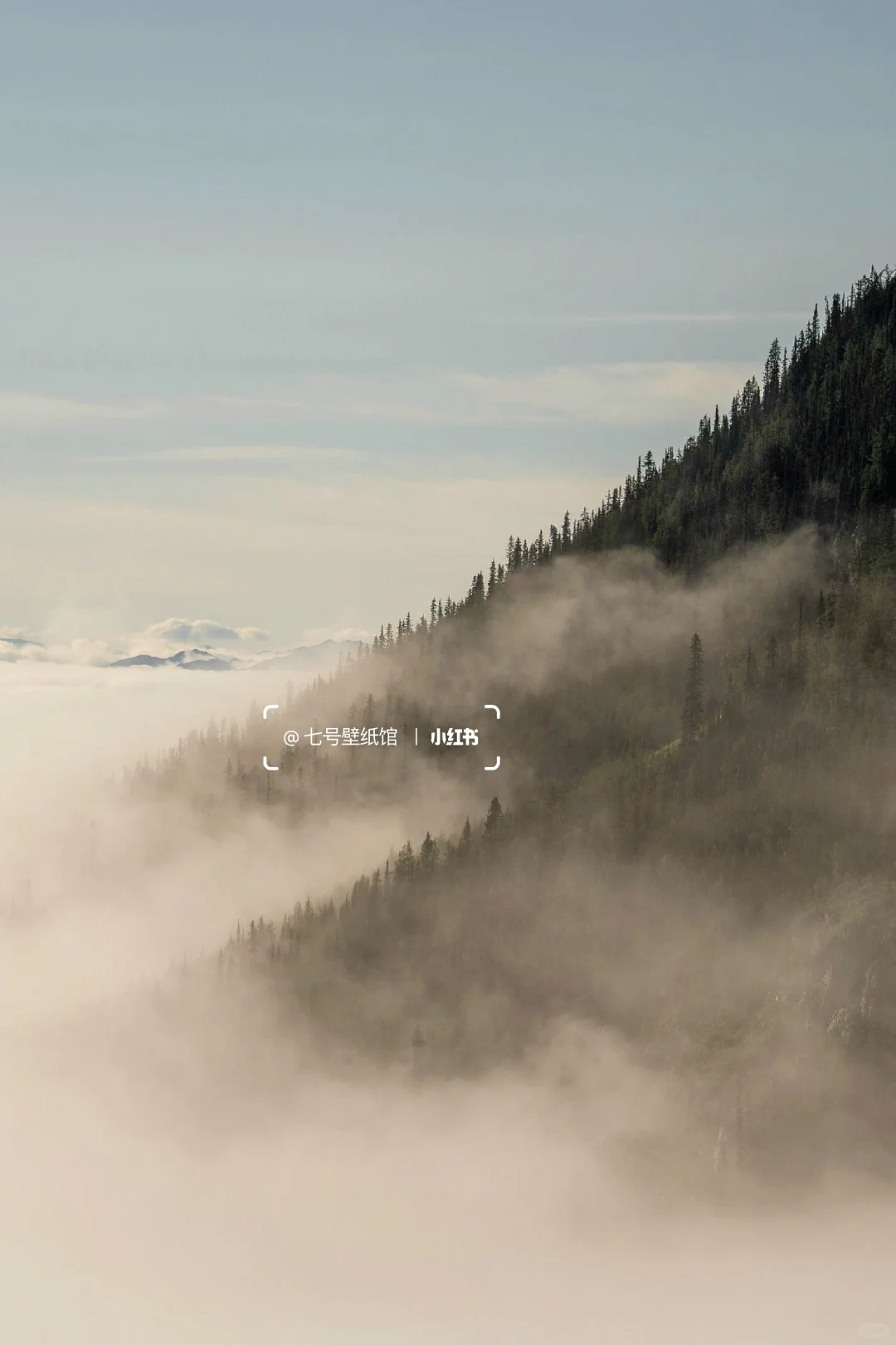 壁纸｜山野自然