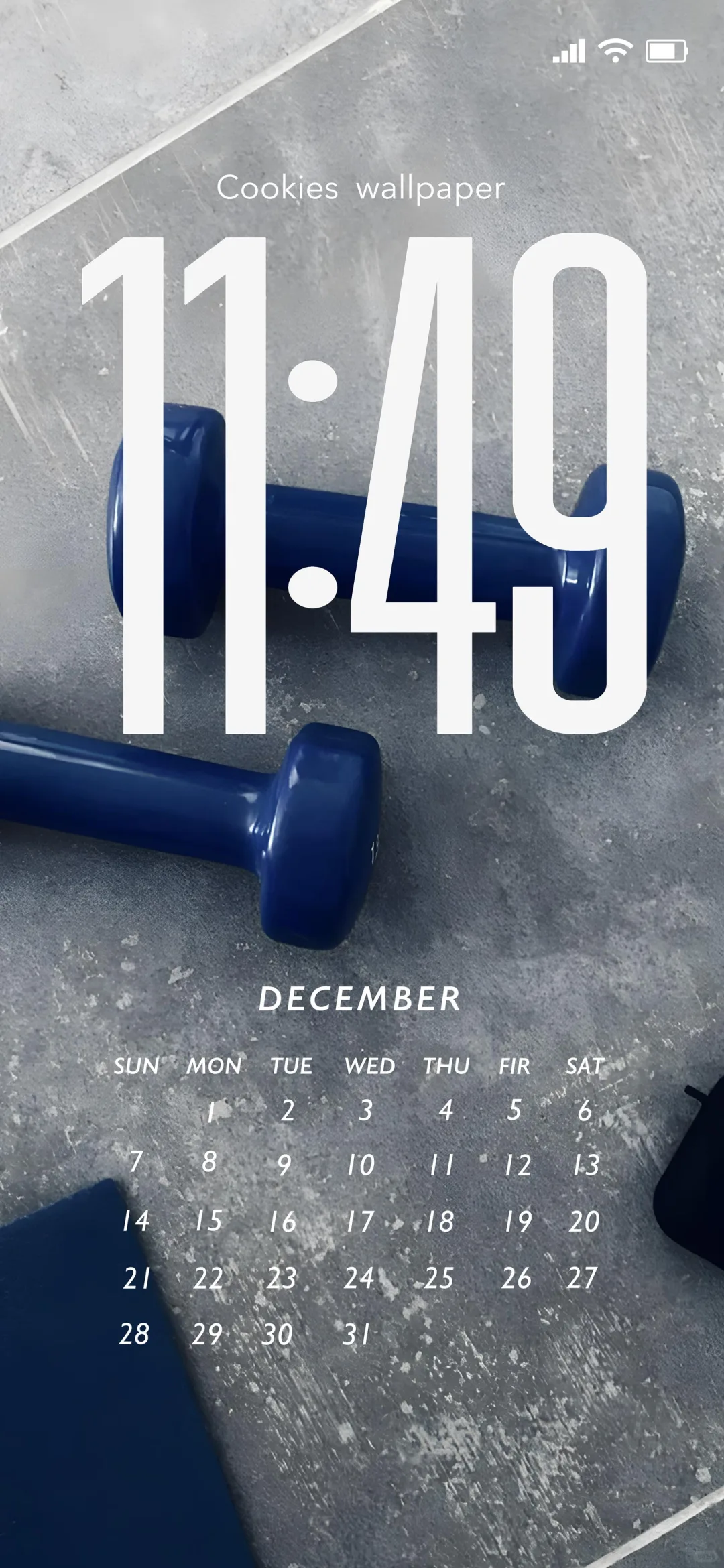 「12月日历·壁纸」｜用彩色为今年收个尾