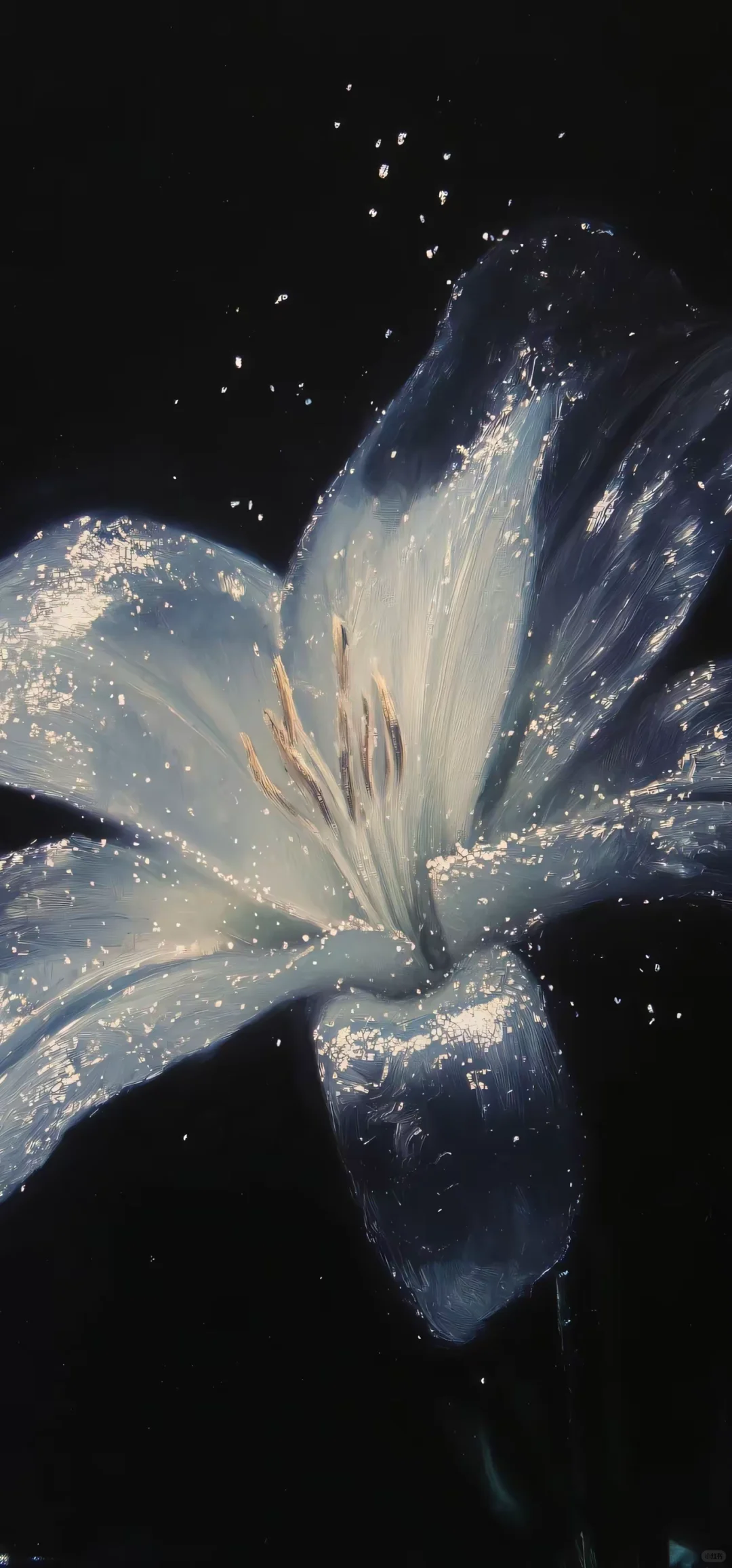 星辰大海，美伦全屏壁纸