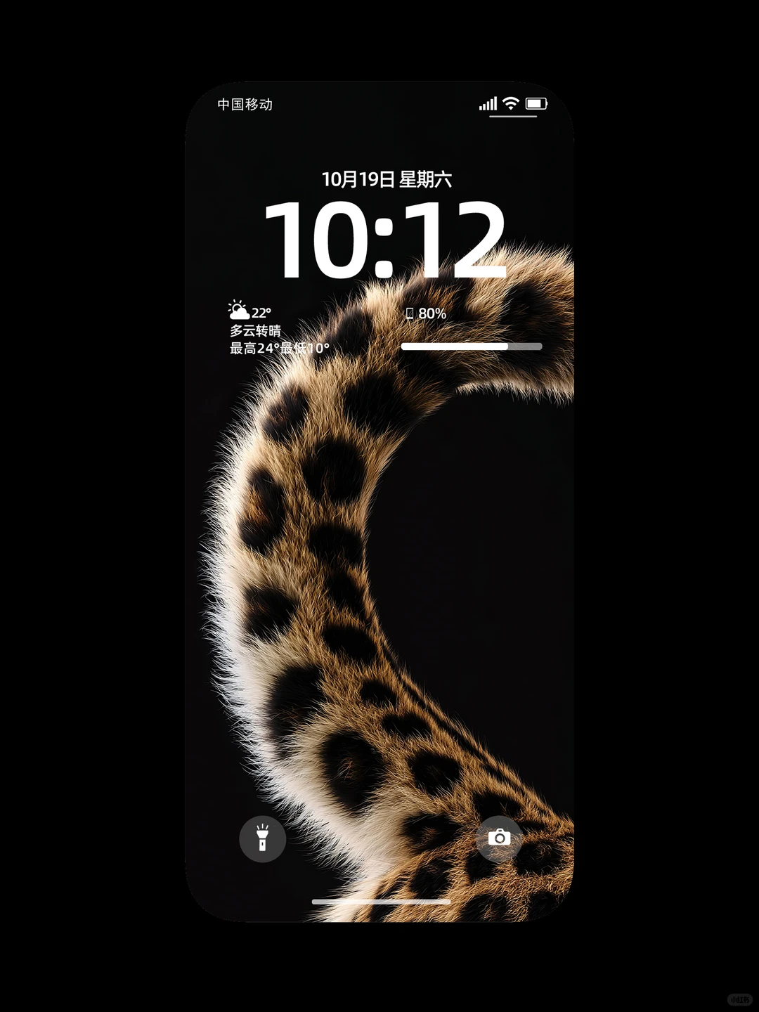 金钱豹尾巴 招财寓意手机全屏壁纸分享