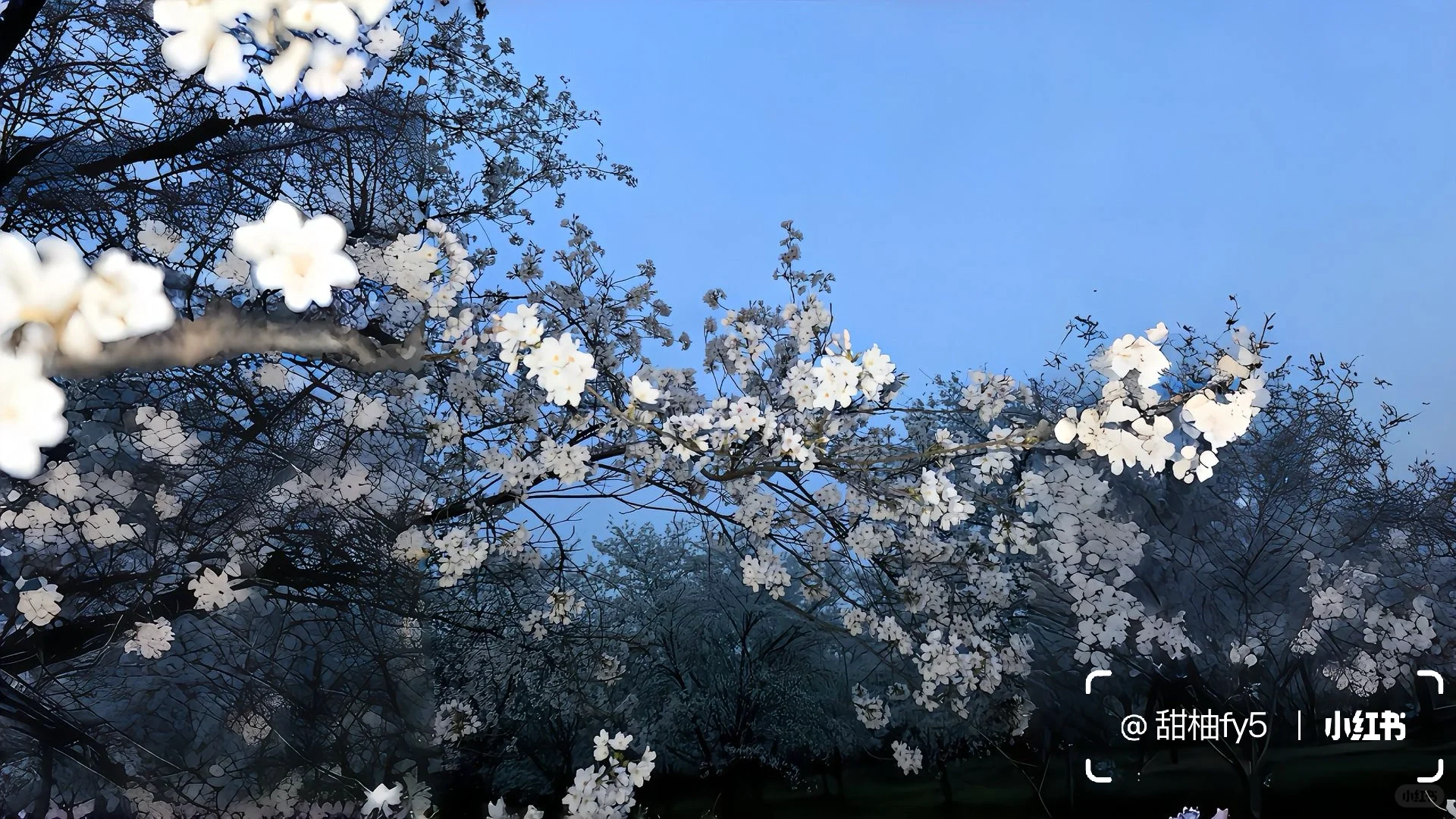 一组养眼ipad壁纸